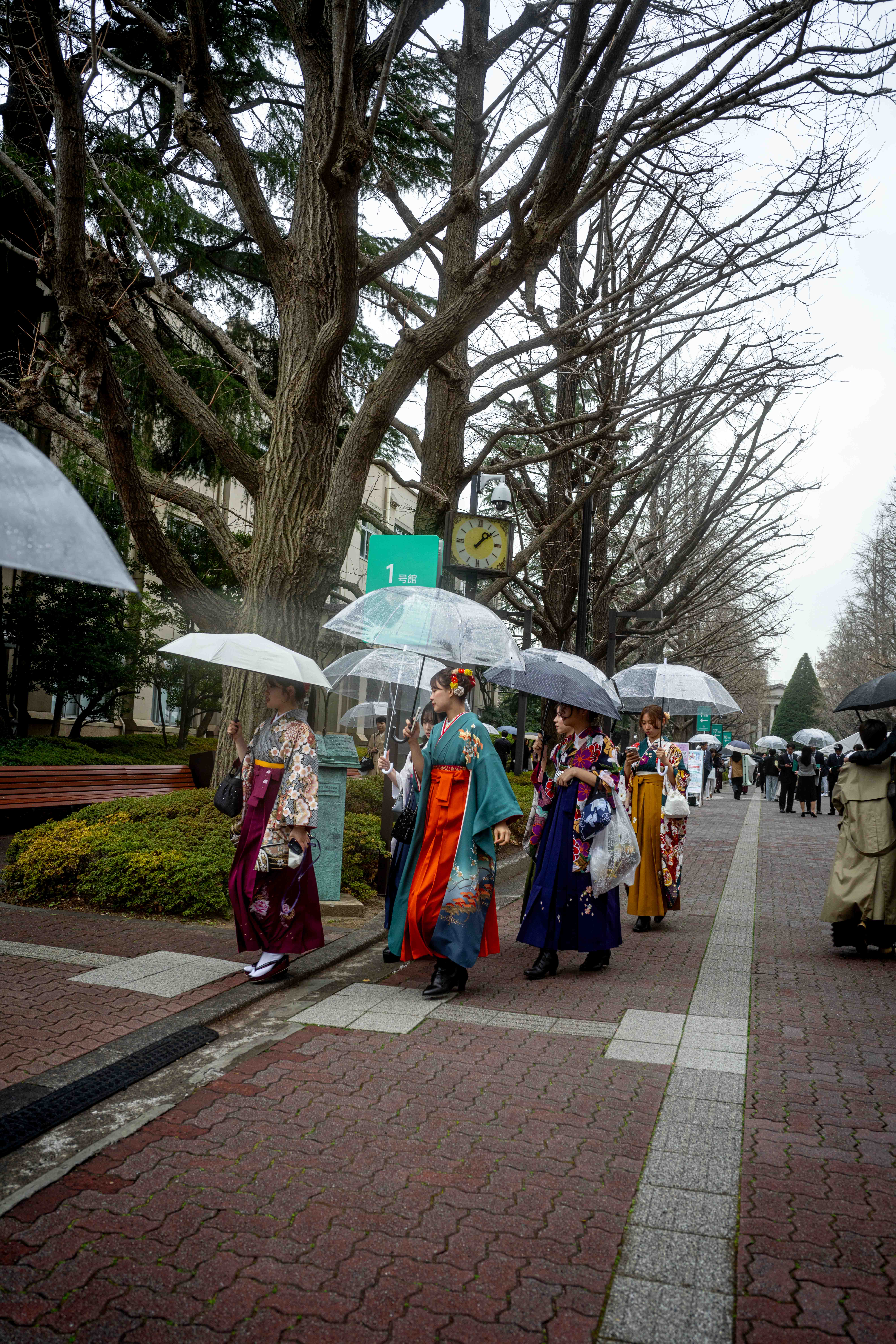 Photos from Tokyo and Kyoto, Japan, Spring 2026.