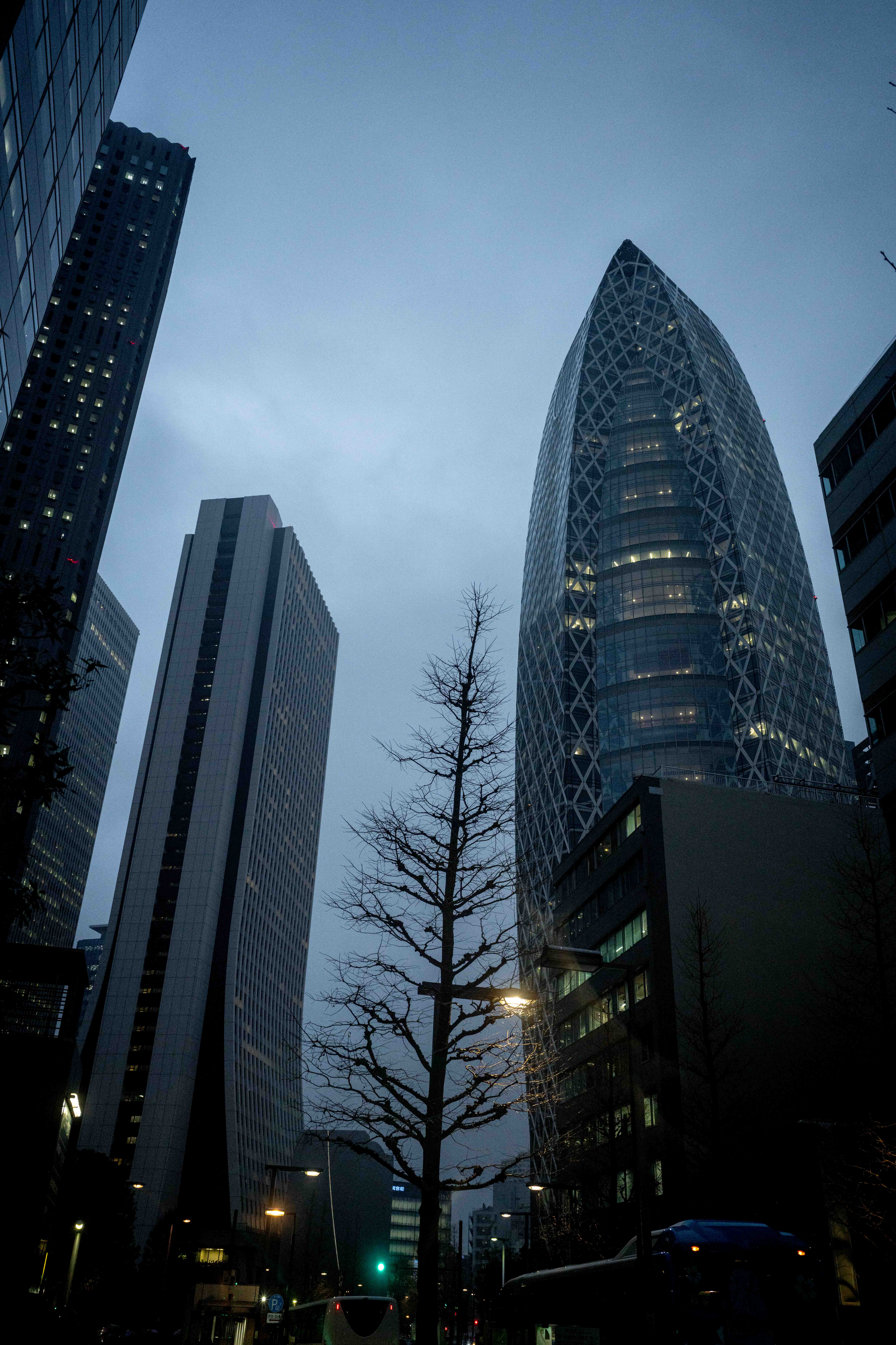 Photos from Tokyo and Kyoto, Japan, Spring 2026.