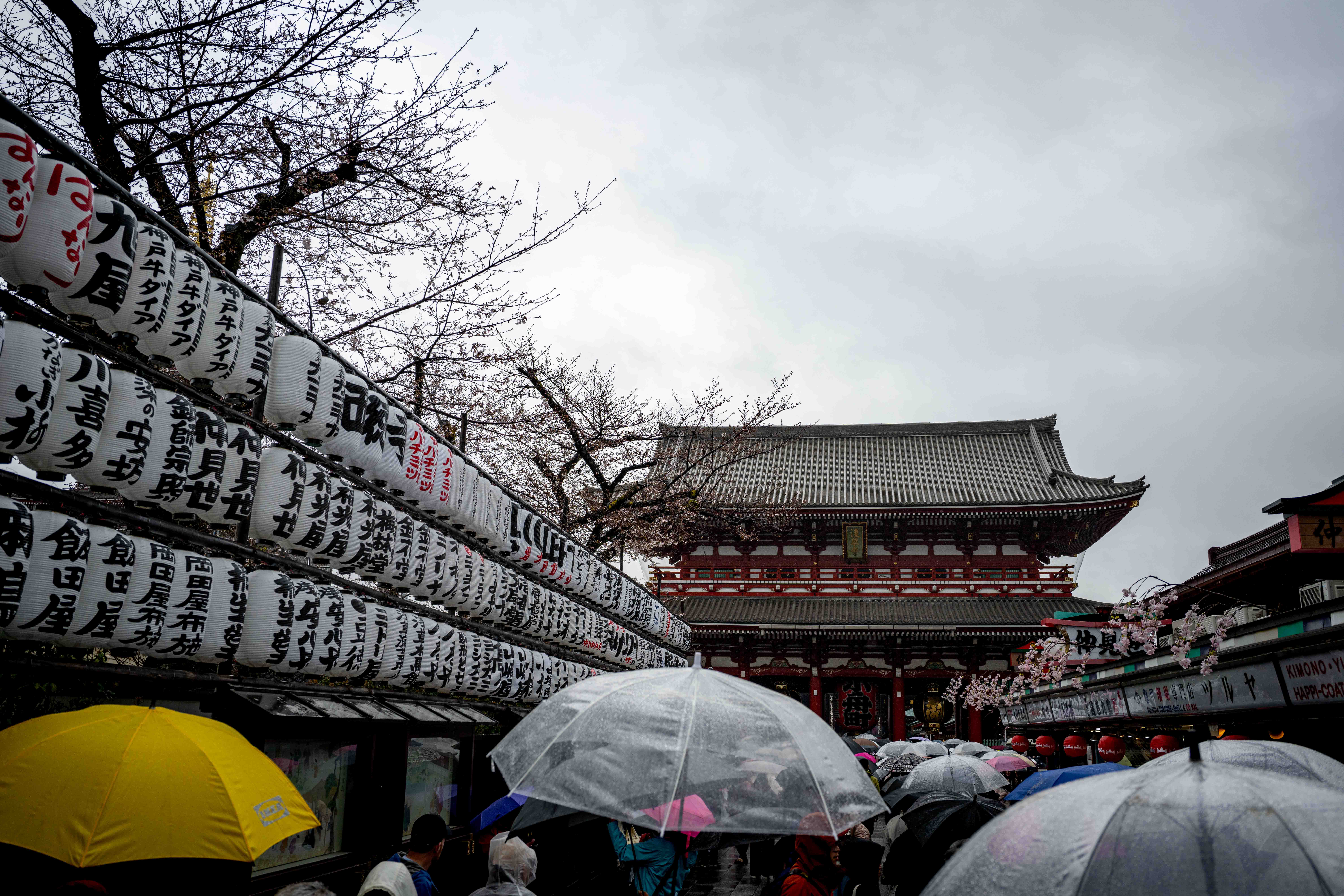 Photos from Tokyo and Kyoto, Japan, Spring 2026.