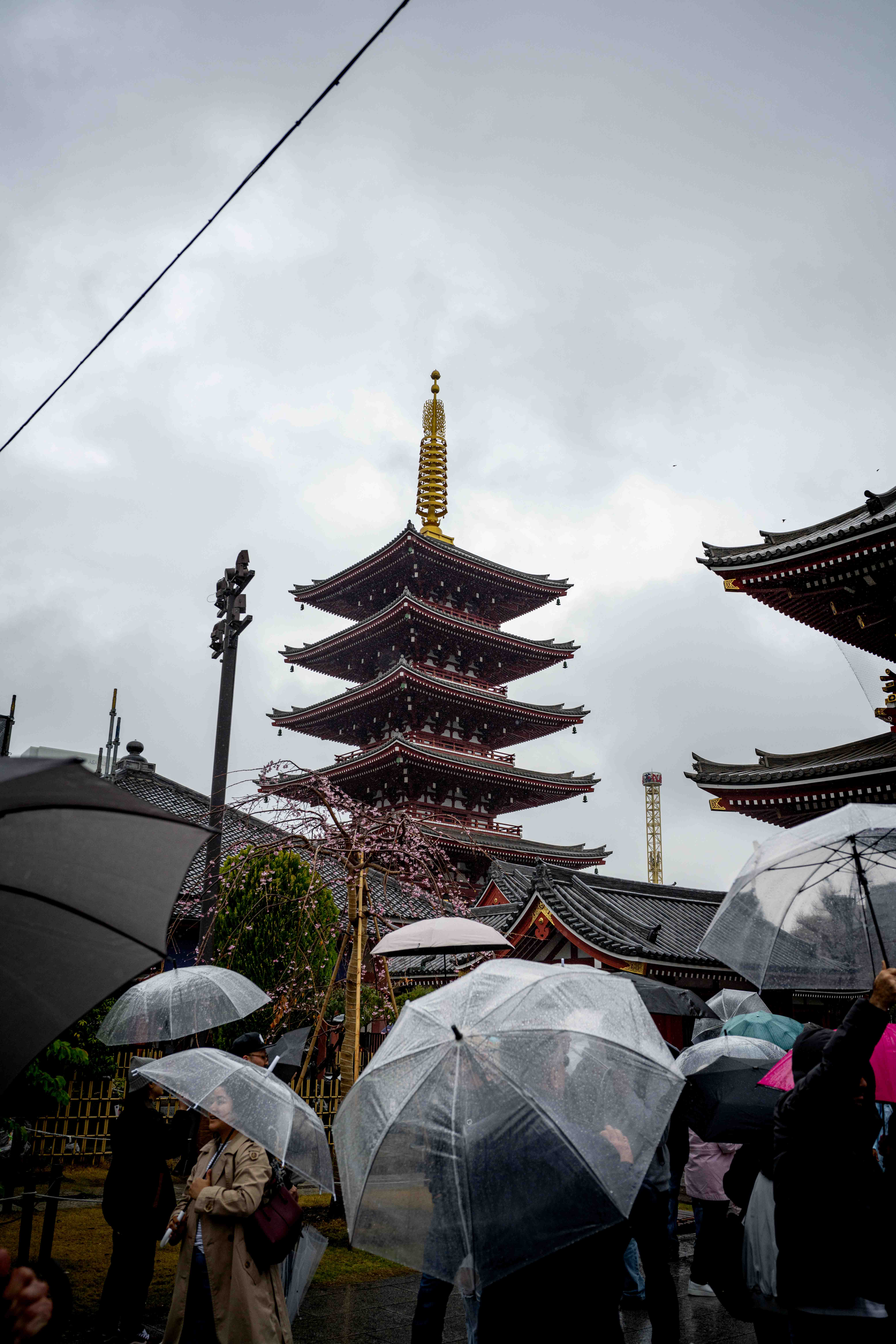 Photos from Tokyo and Kyoto, Japan, Spring 2026.