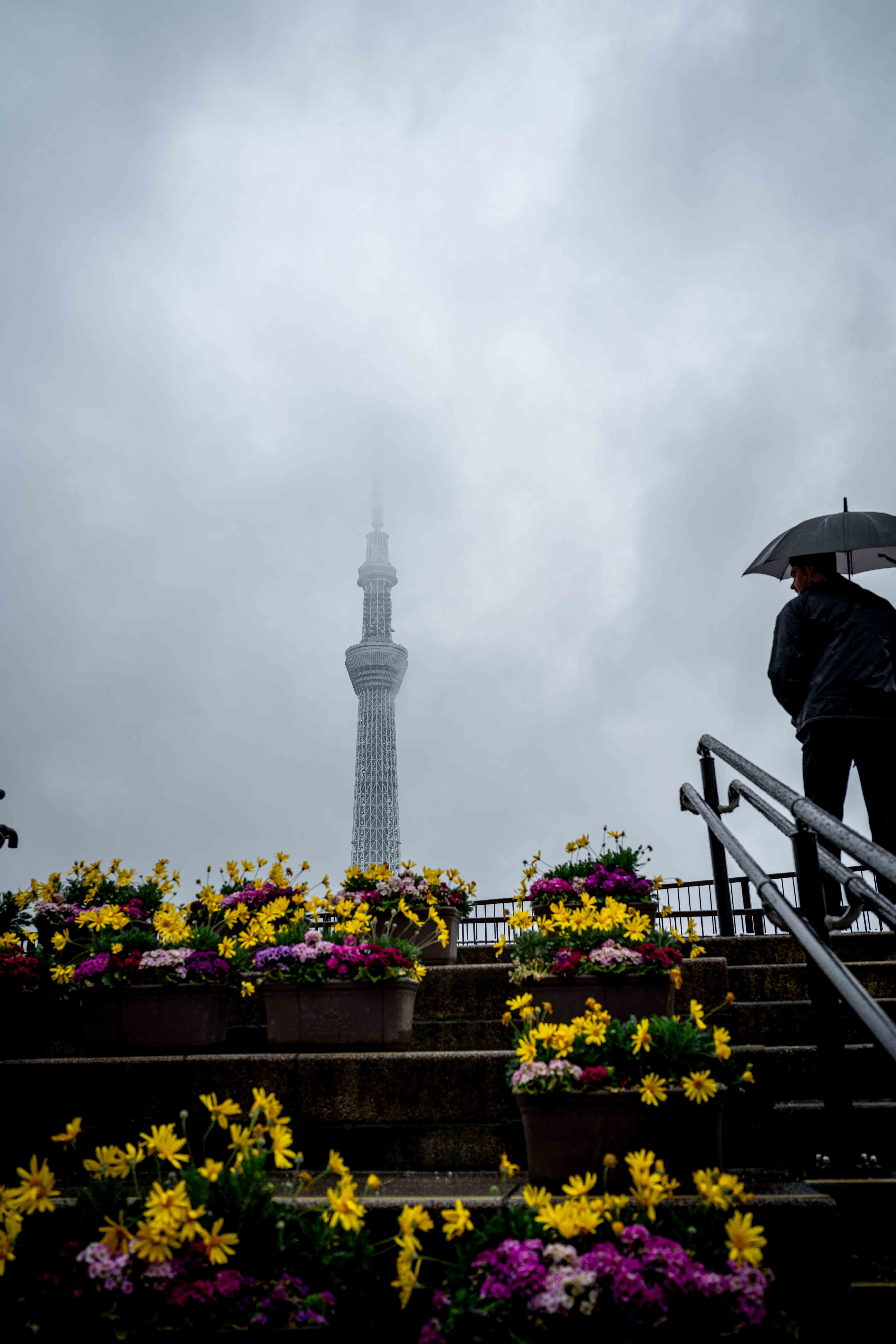 Photos from Tokyo and Kyoto, Japan, Spring 2026.