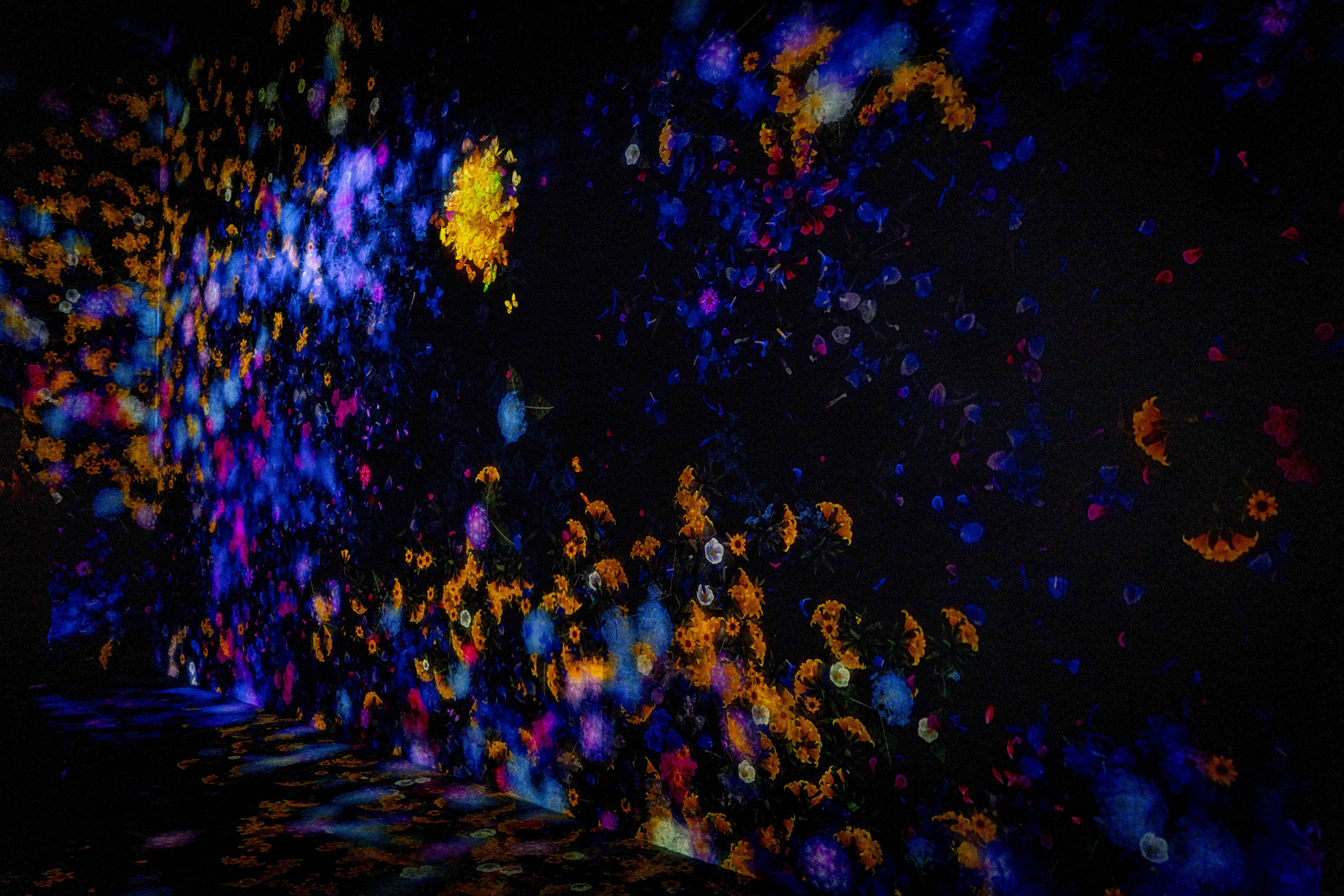 Photos from Tokyo and Kyoto, Japan, Spring 2026.