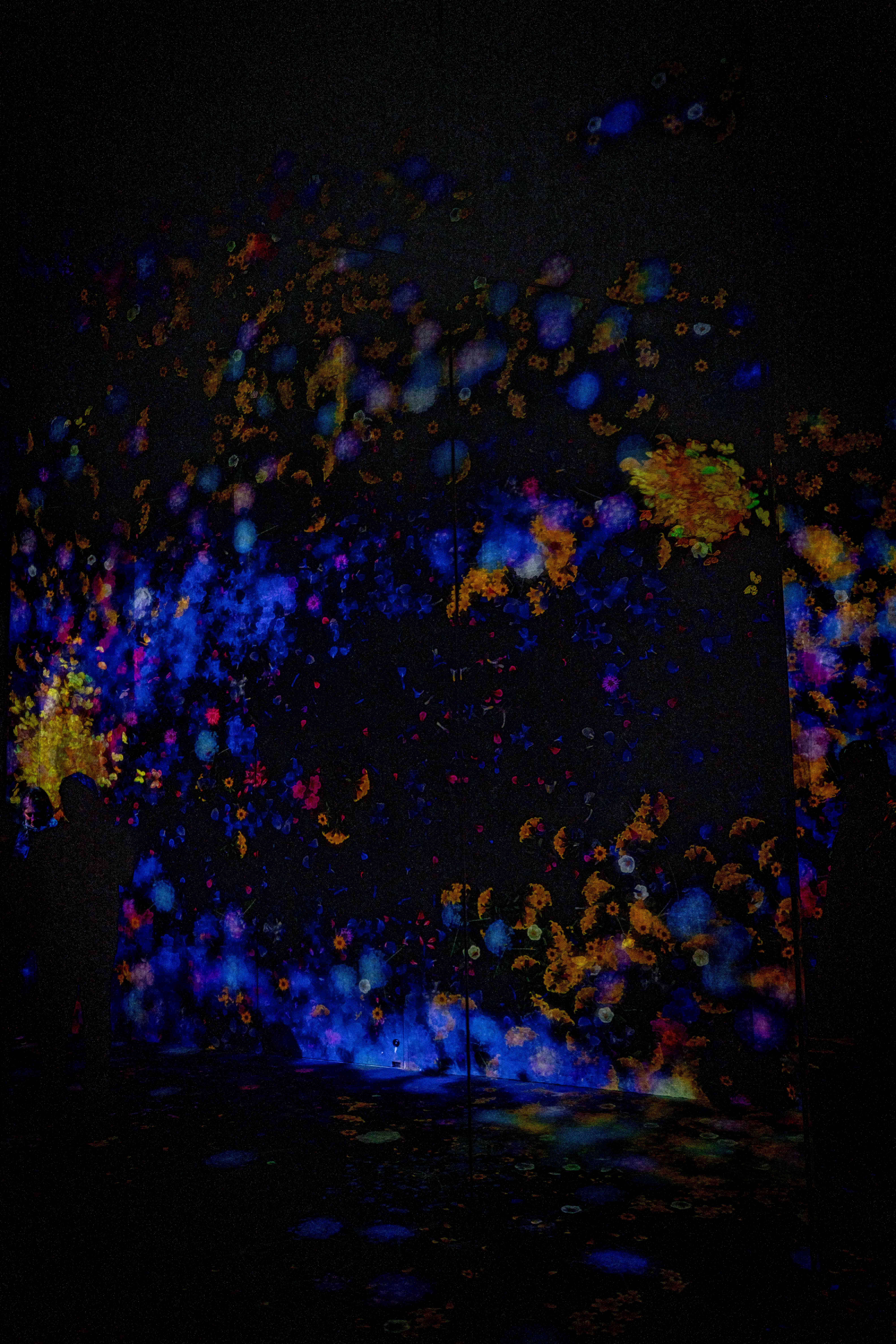 Photos from Tokyo and Kyoto, Japan, Spring 2026.