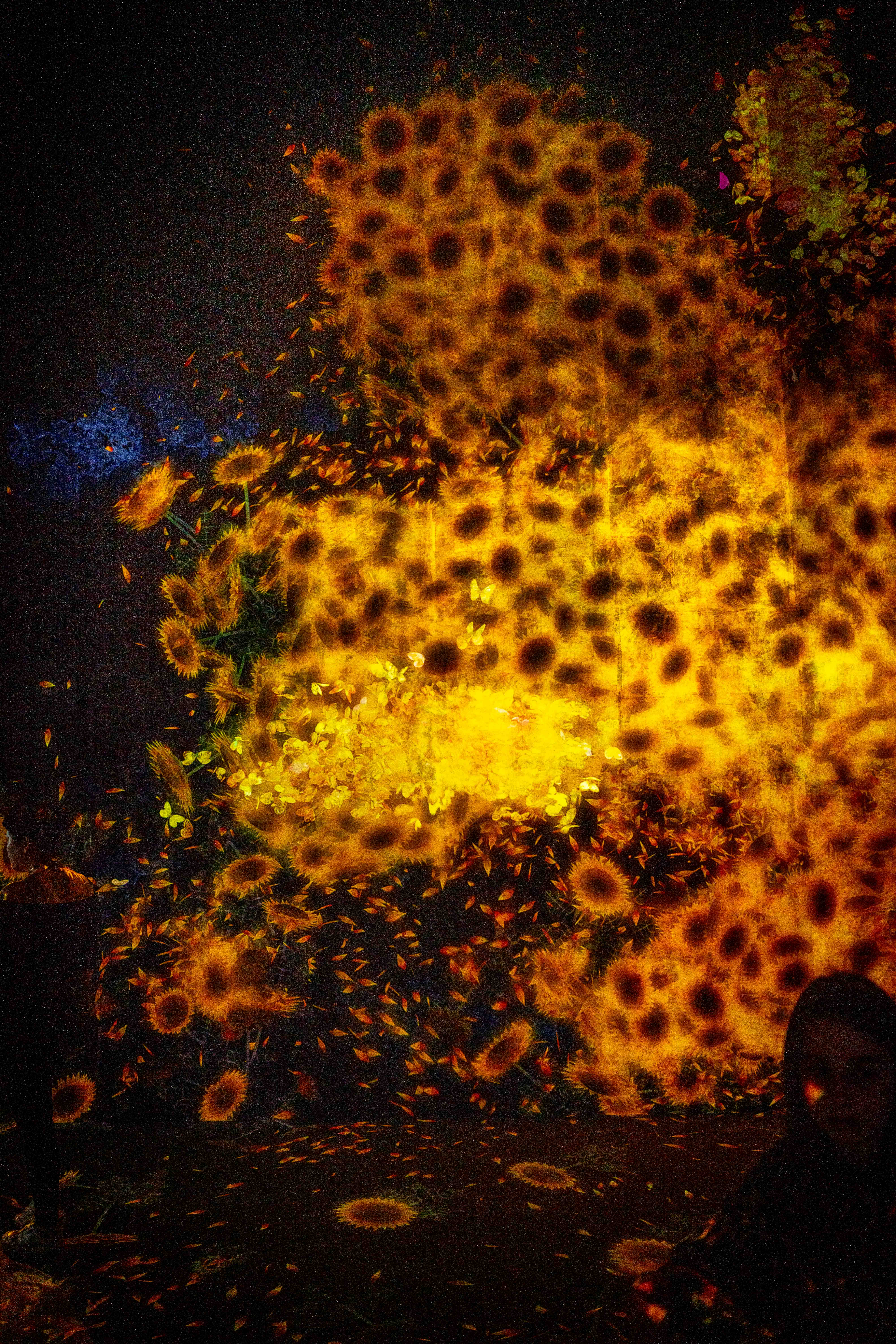 Photos from Tokyo and Kyoto, Japan, Spring 2026.