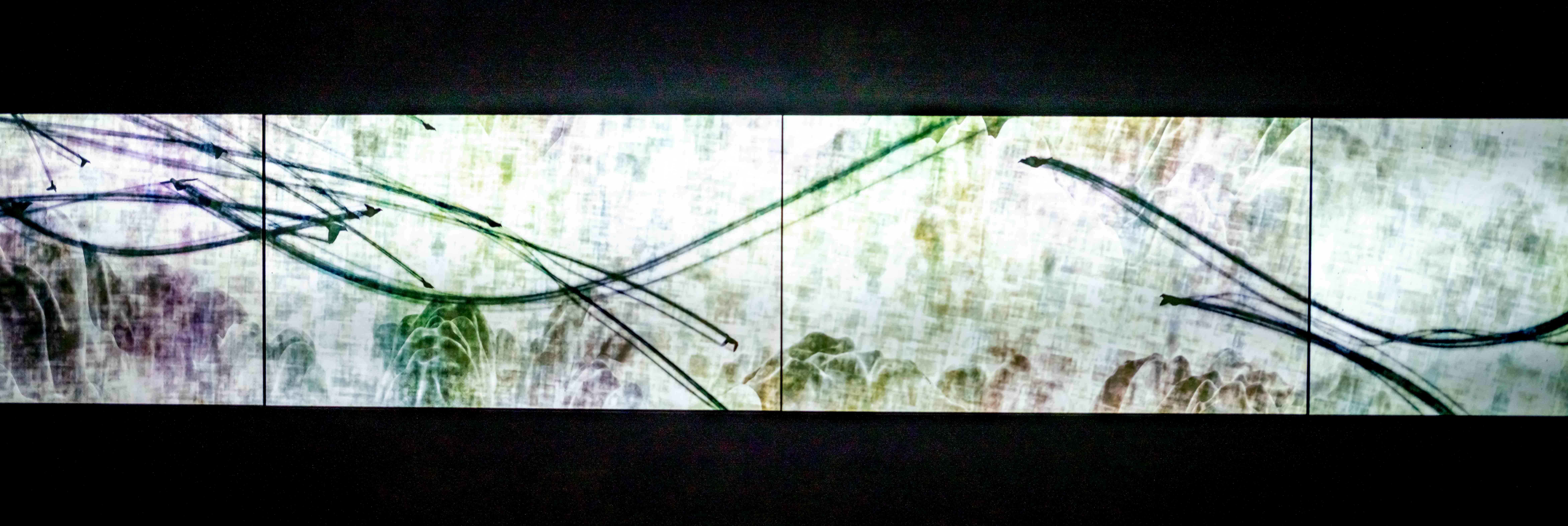 Photos from Tokyo and Kyoto, Japan, Spring 2026.