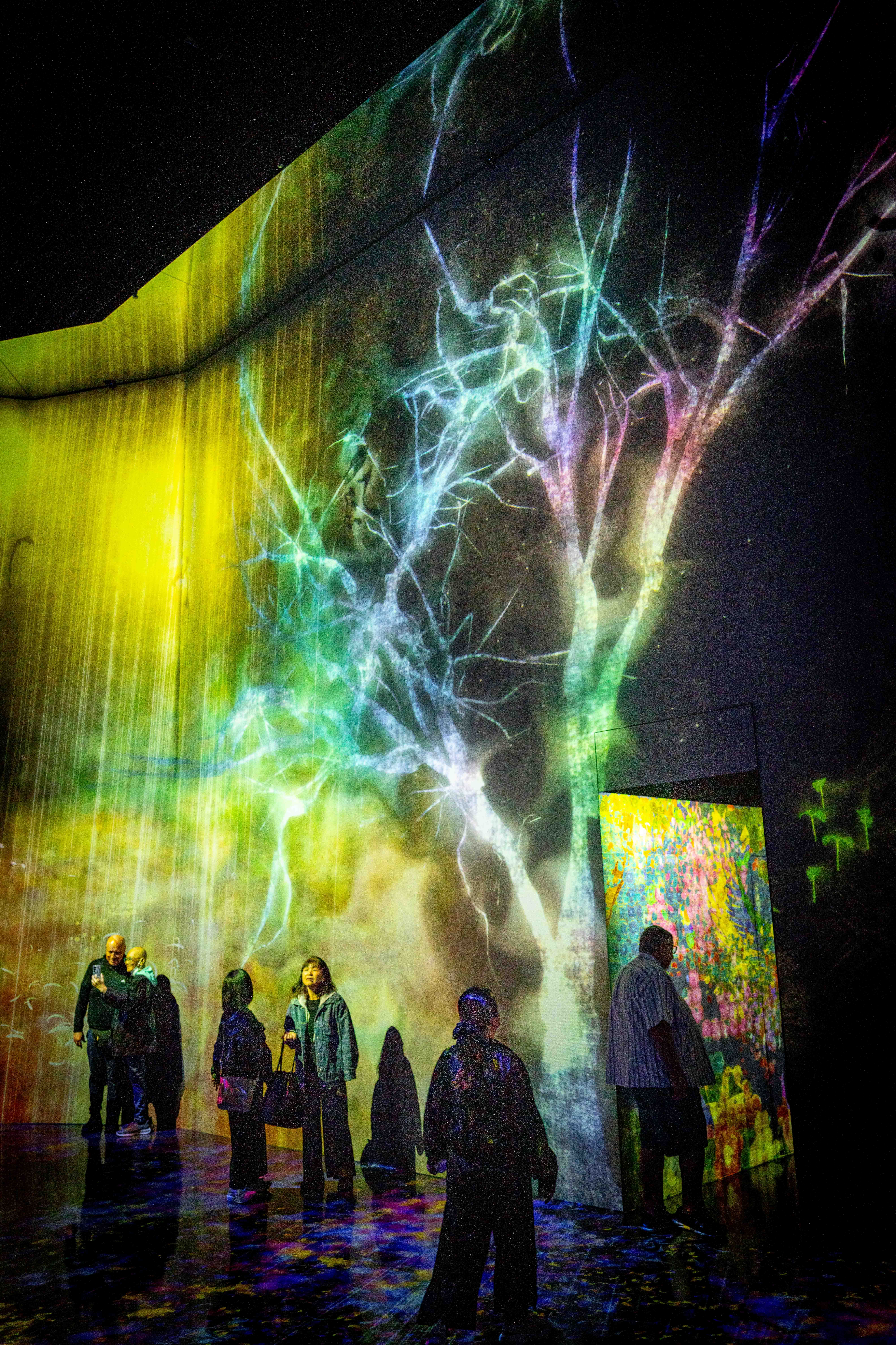 Photos from Tokyo and Kyoto, Japan, Spring 2026.