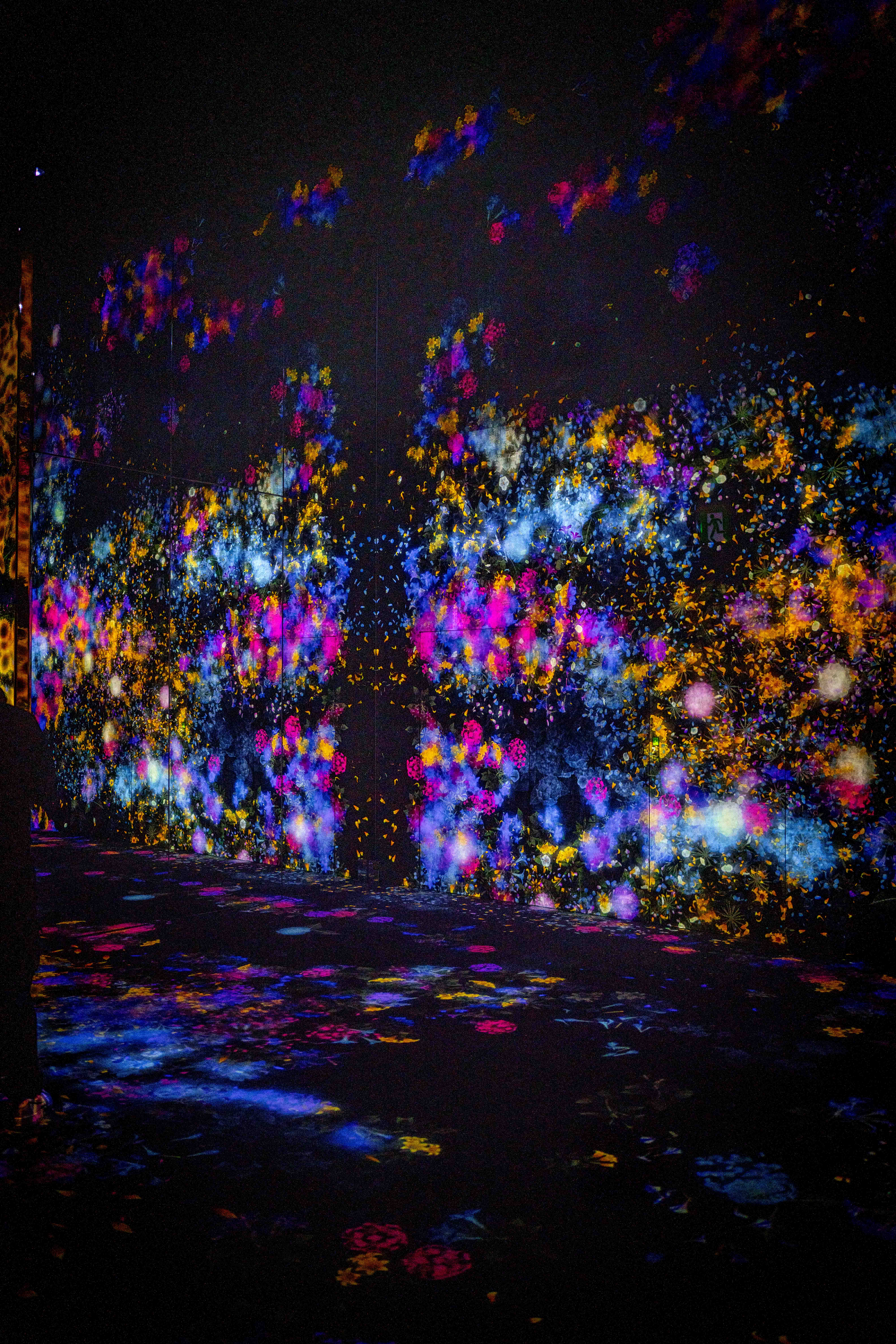 Photos from Tokyo and Kyoto, Japan, Spring 2026.