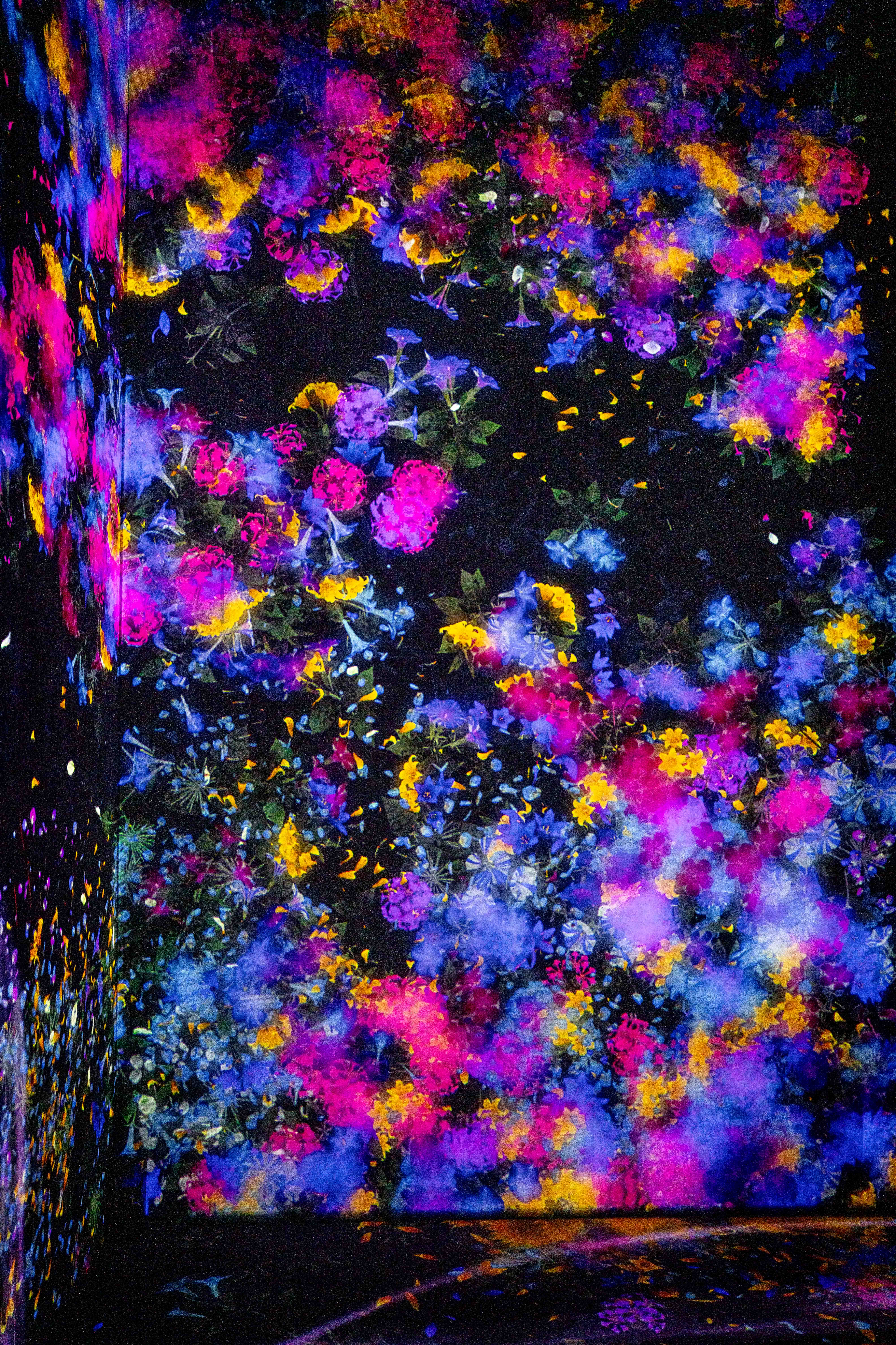 Photos from Tokyo and Kyoto, Japan, Spring 2026.