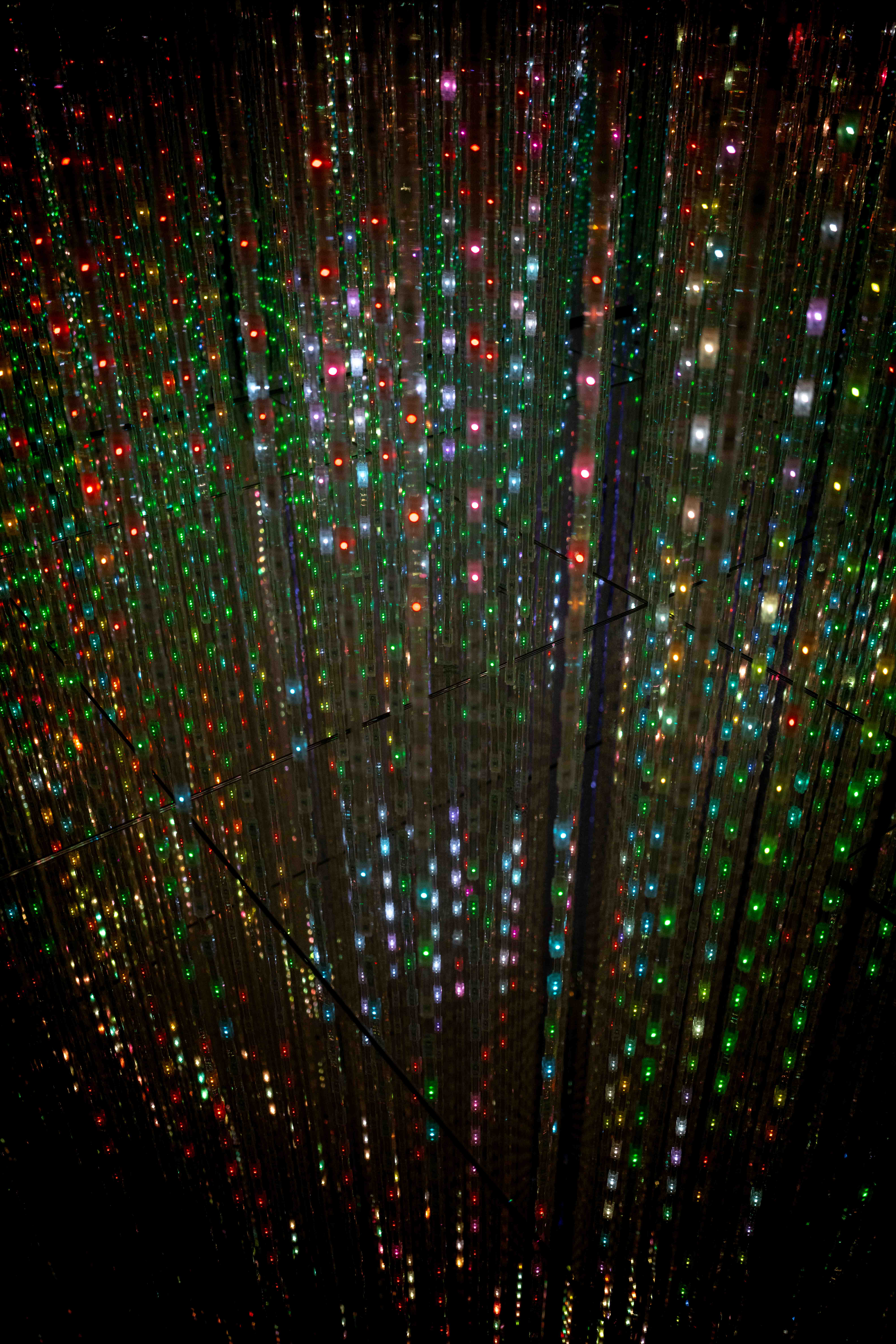 Photos from Tokyo and Kyoto, Japan, Spring 2026.