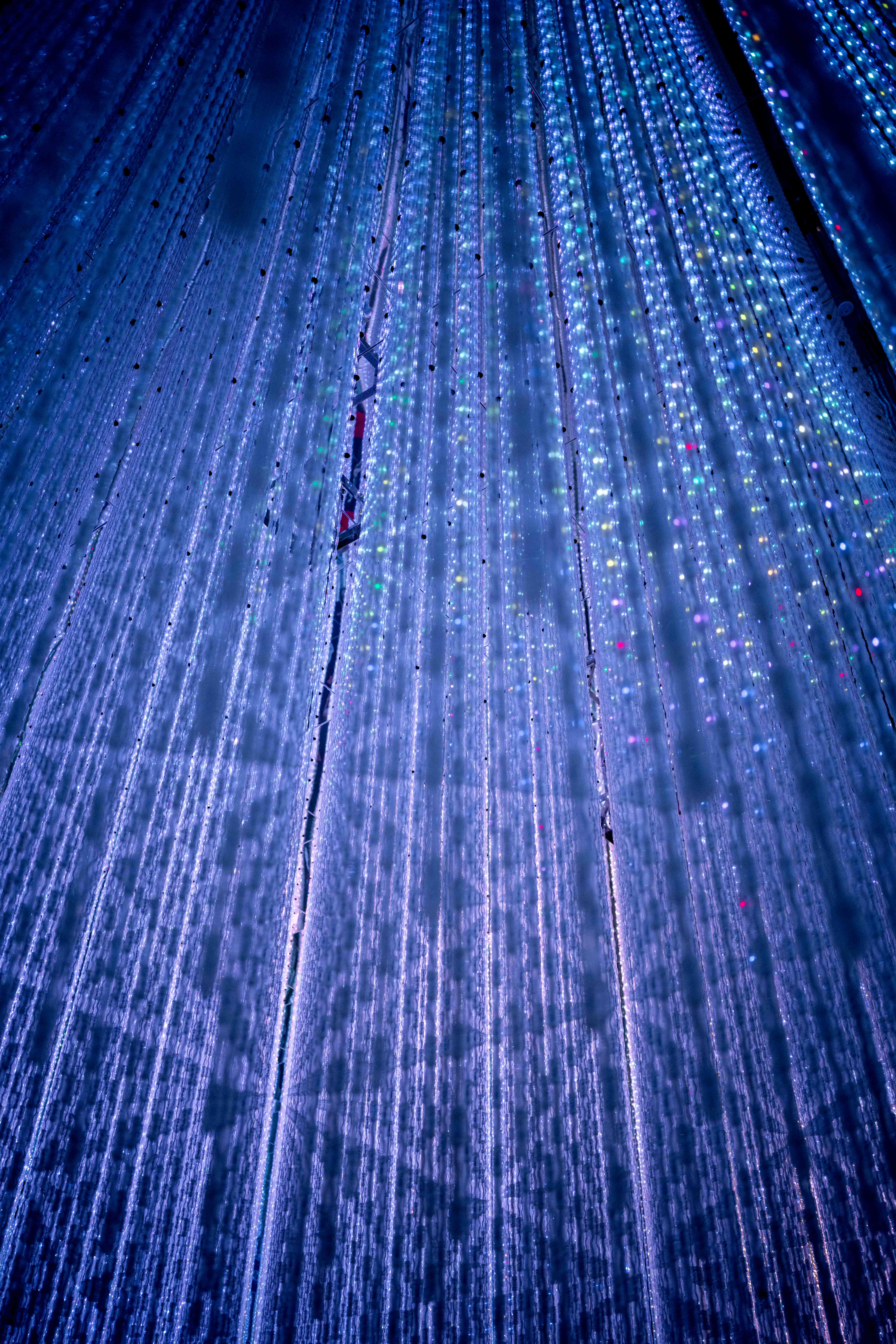 Photos from Tokyo and Kyoto, Japan, Spring 2026.