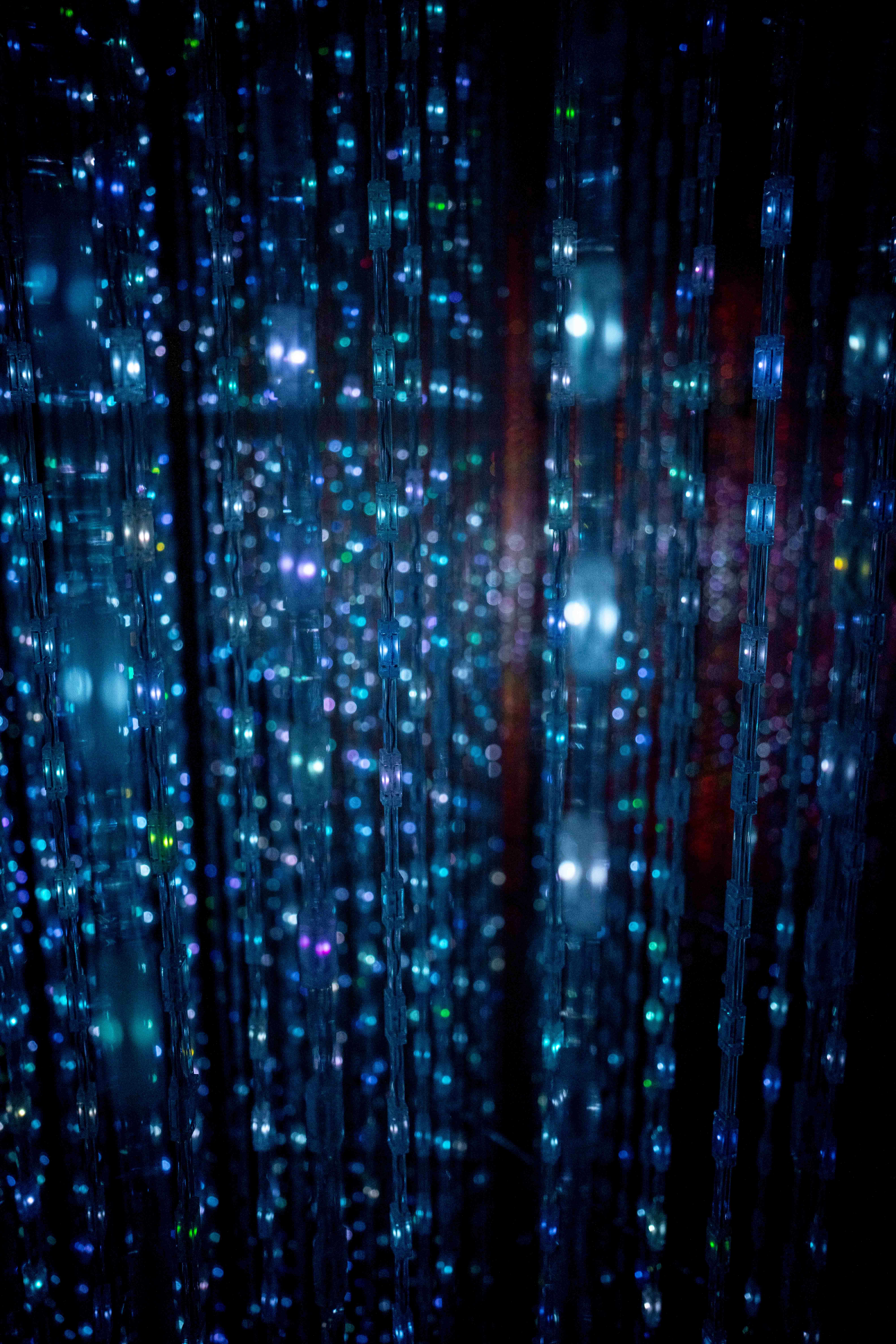 Photos from Tokyo and Kyoto, Japan, Spring 2026.