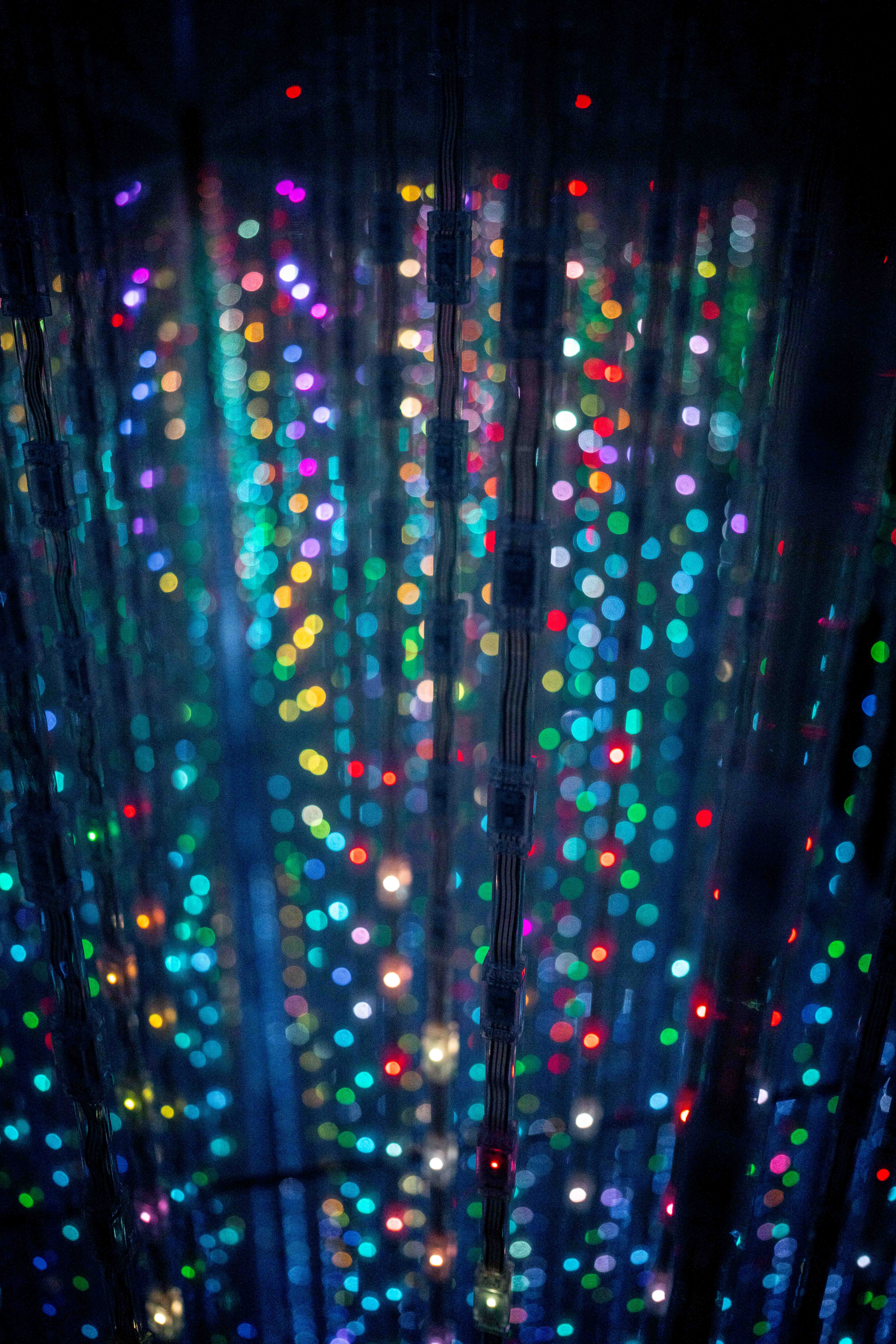 Photos from Tokyo and Kyoto, Japan, Spring 2026.