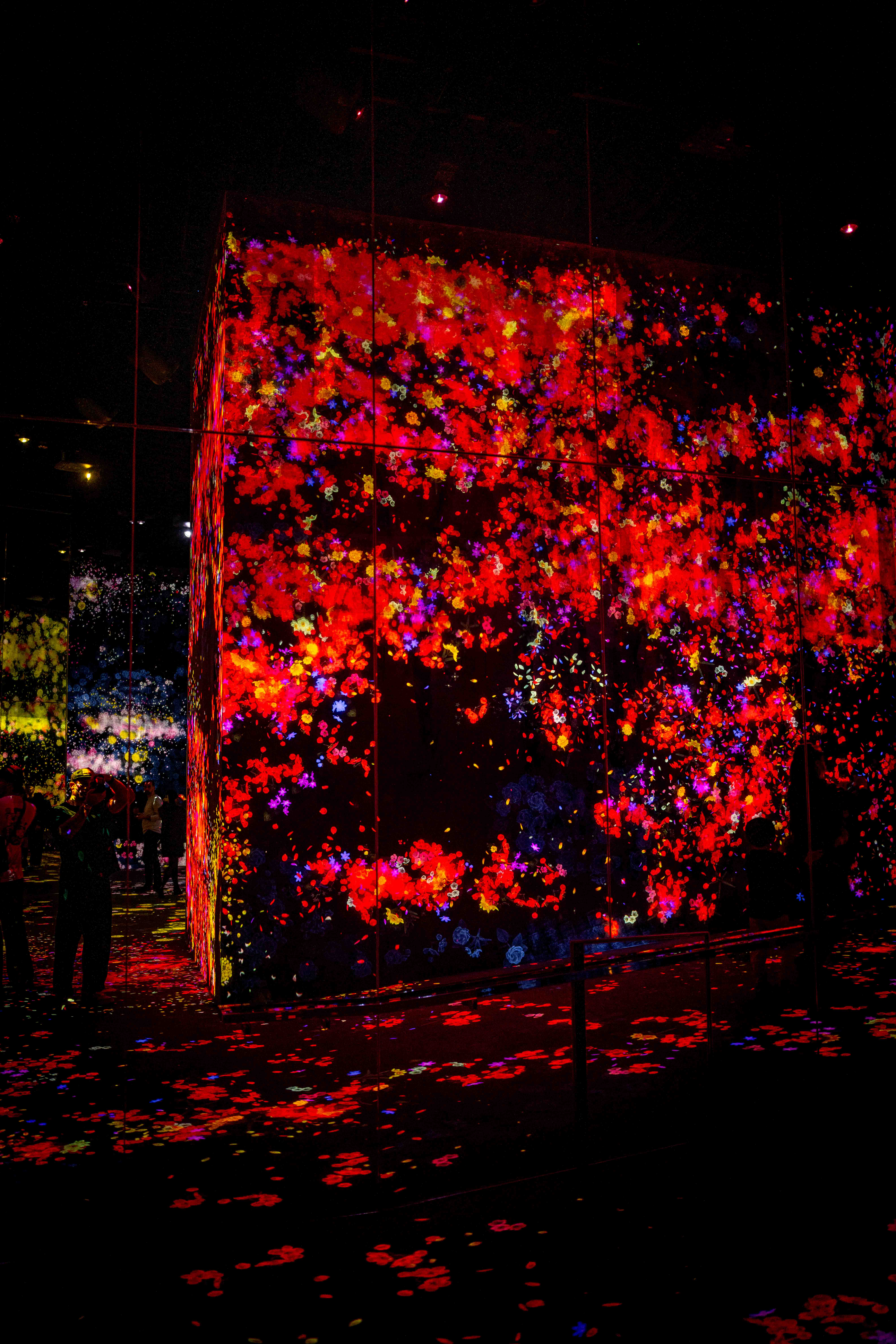 Photos from Tokyo and Kyoto, Japan, Spring 2026.