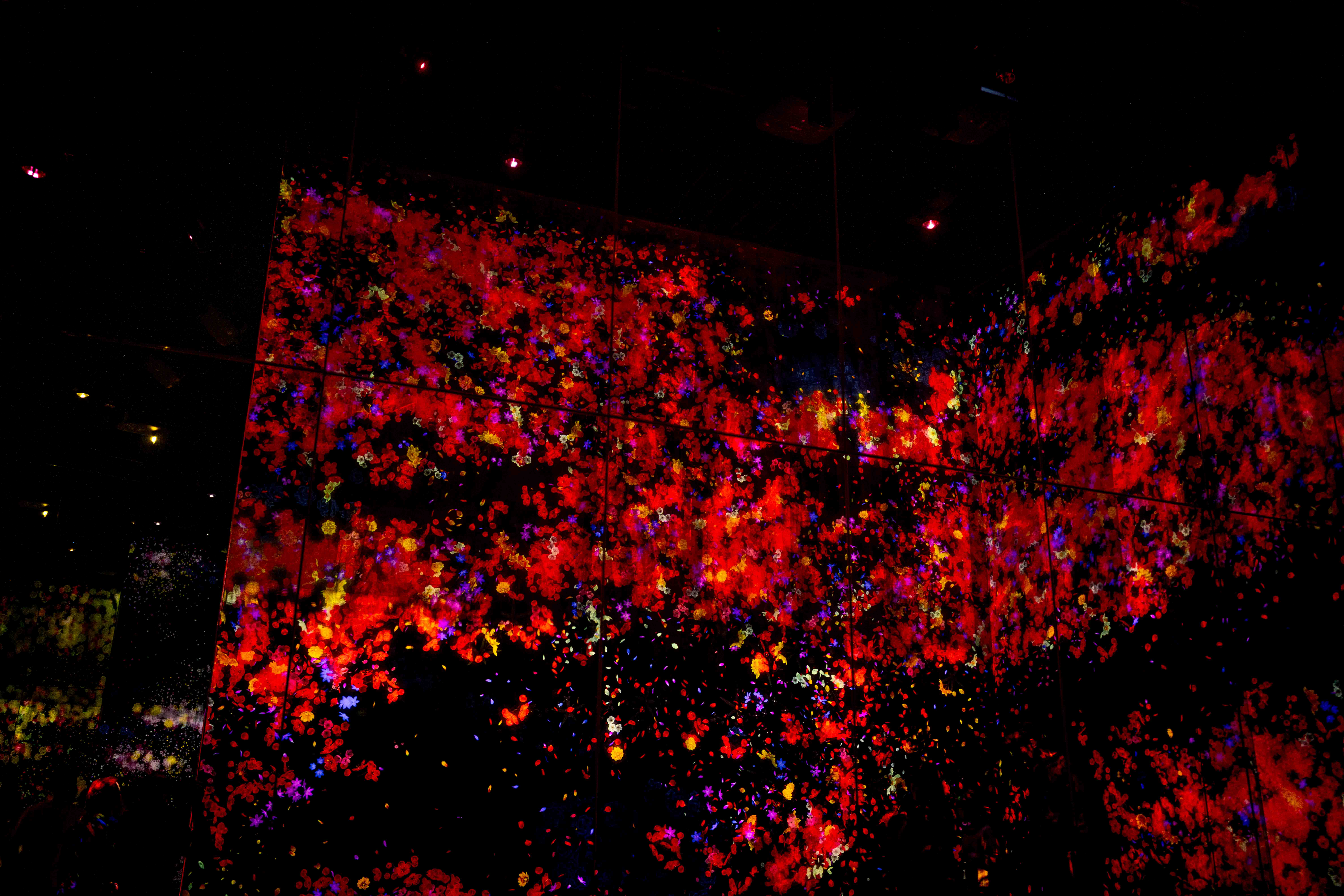 Photos from Tokyo and Kyoto, Japan, Spring 2026.