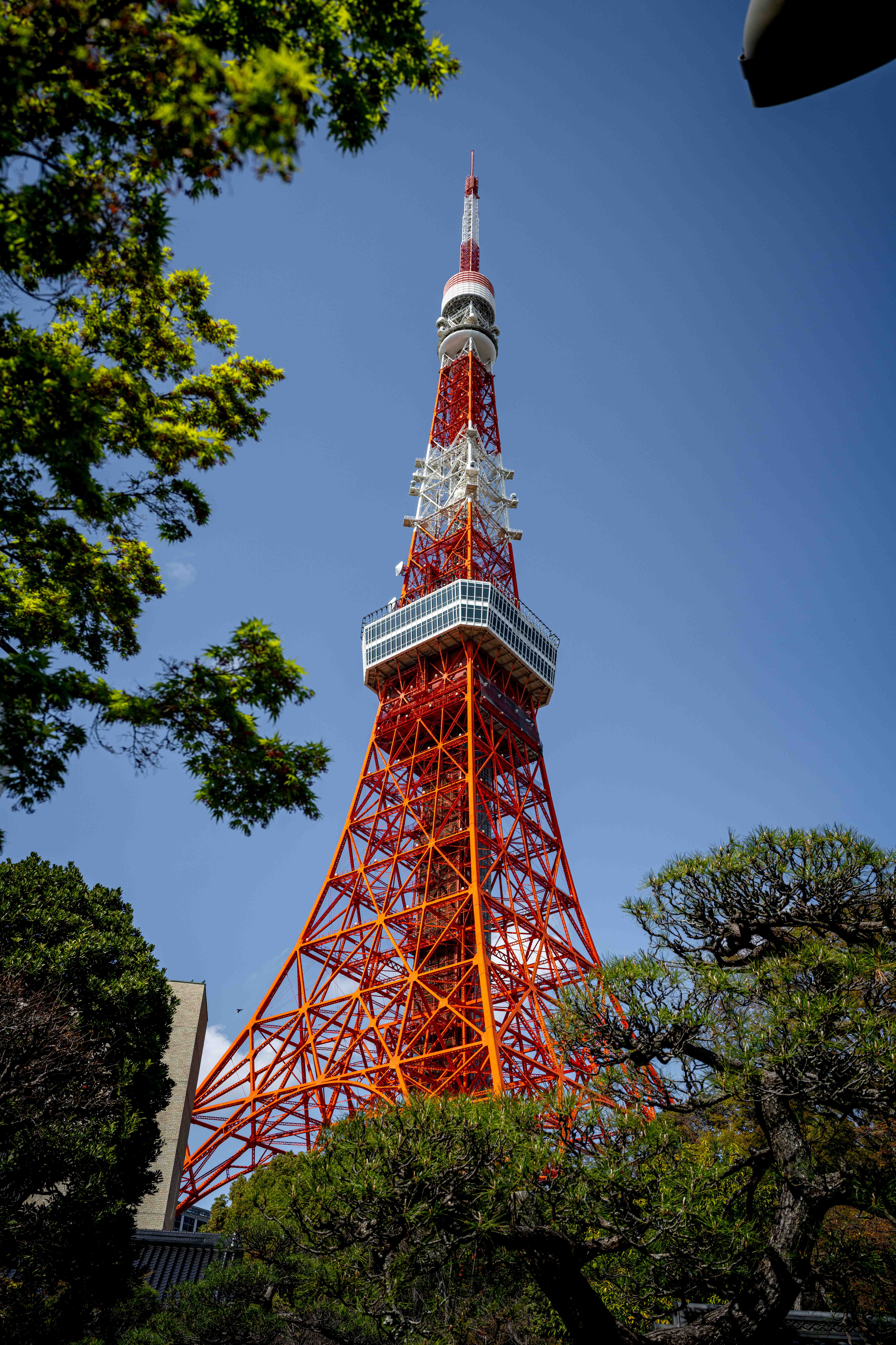Photos from Tokyo and Kyoto, Japan, Spring 2026.