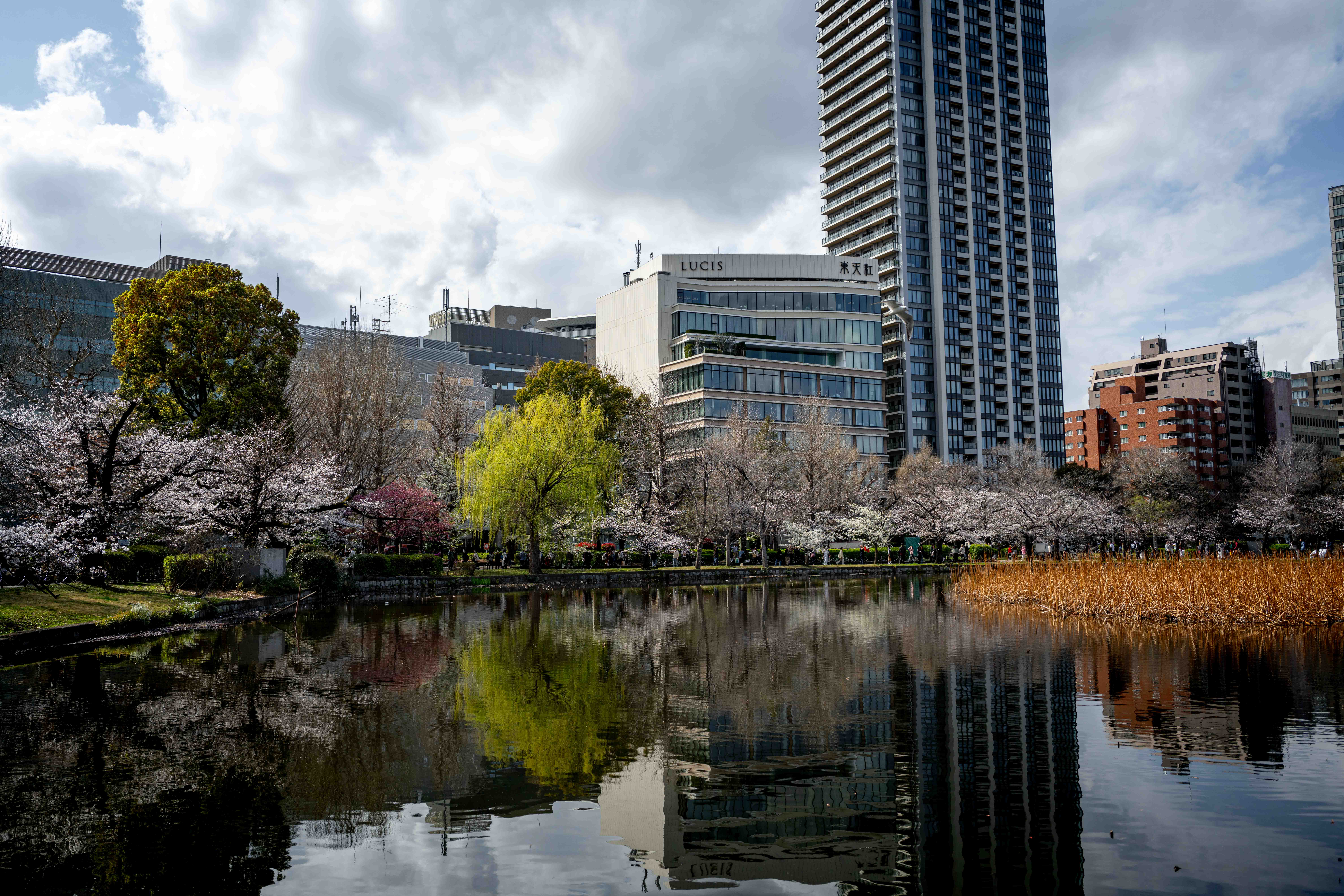 Photos from Tokyo and Kyoto, Japan, Spring 2026.