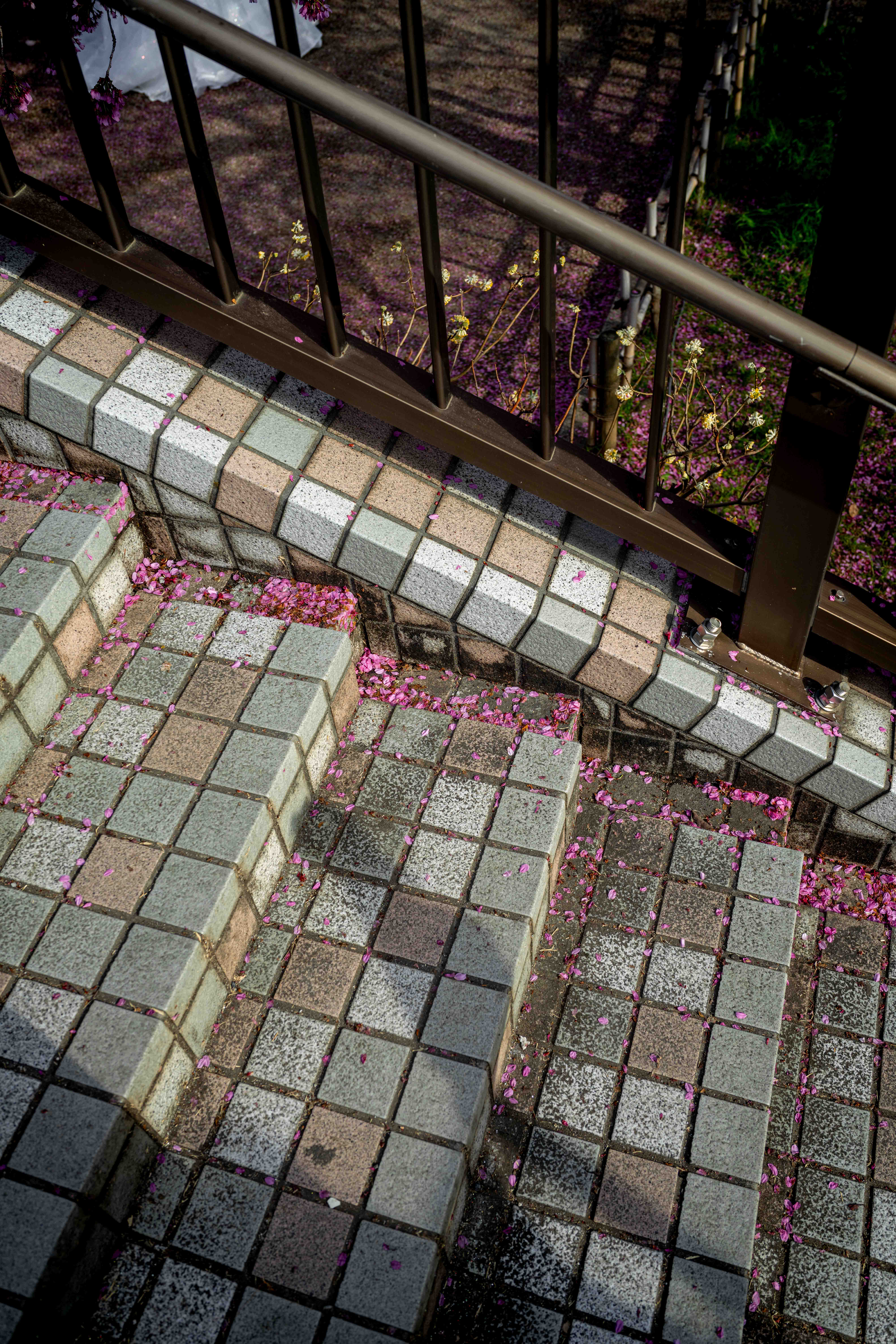 Photos from Tokyo and Kyoto, Japan, Spring 2026.