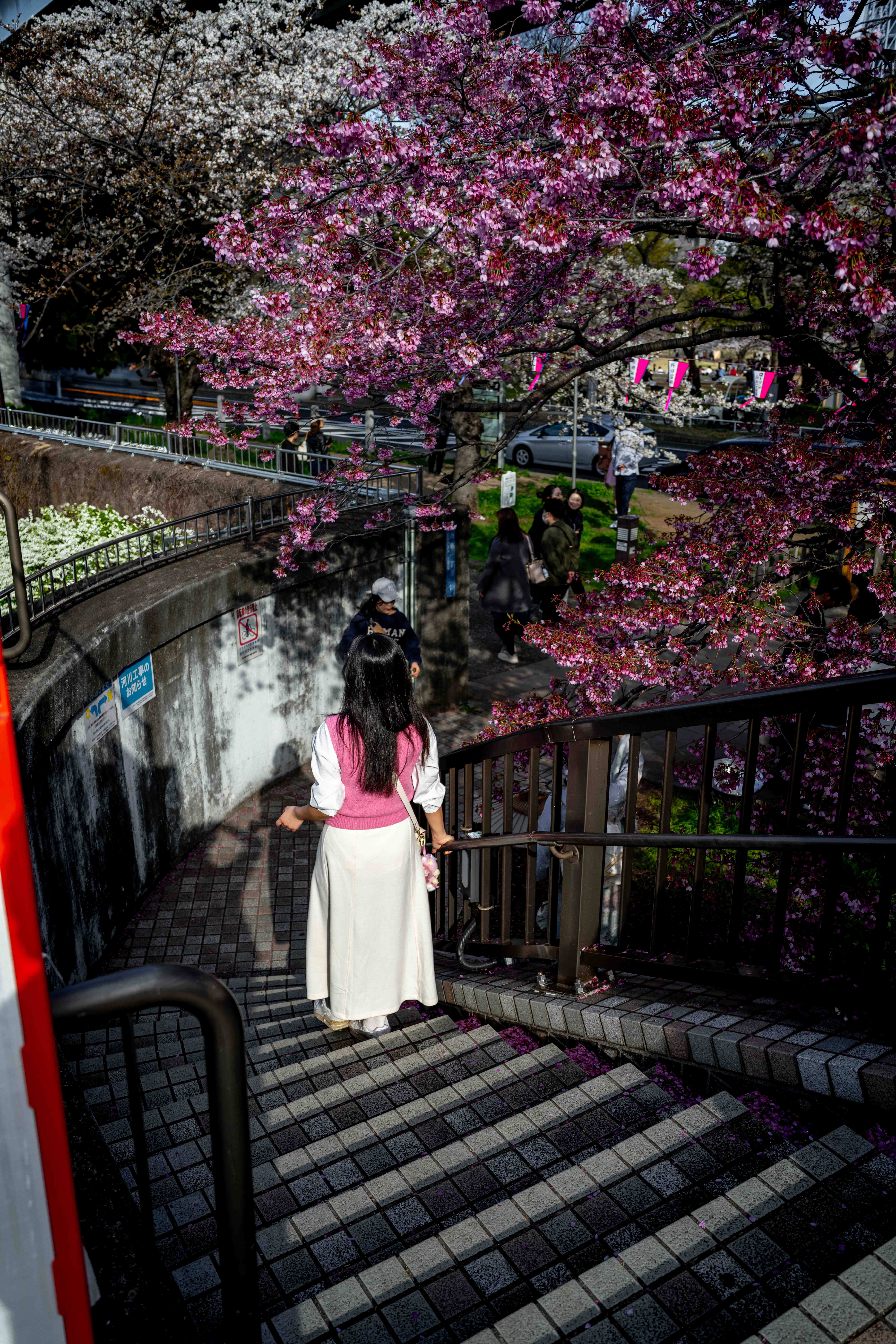 Photos from Tokyo and Kyoto, Japan, Spring 2026.