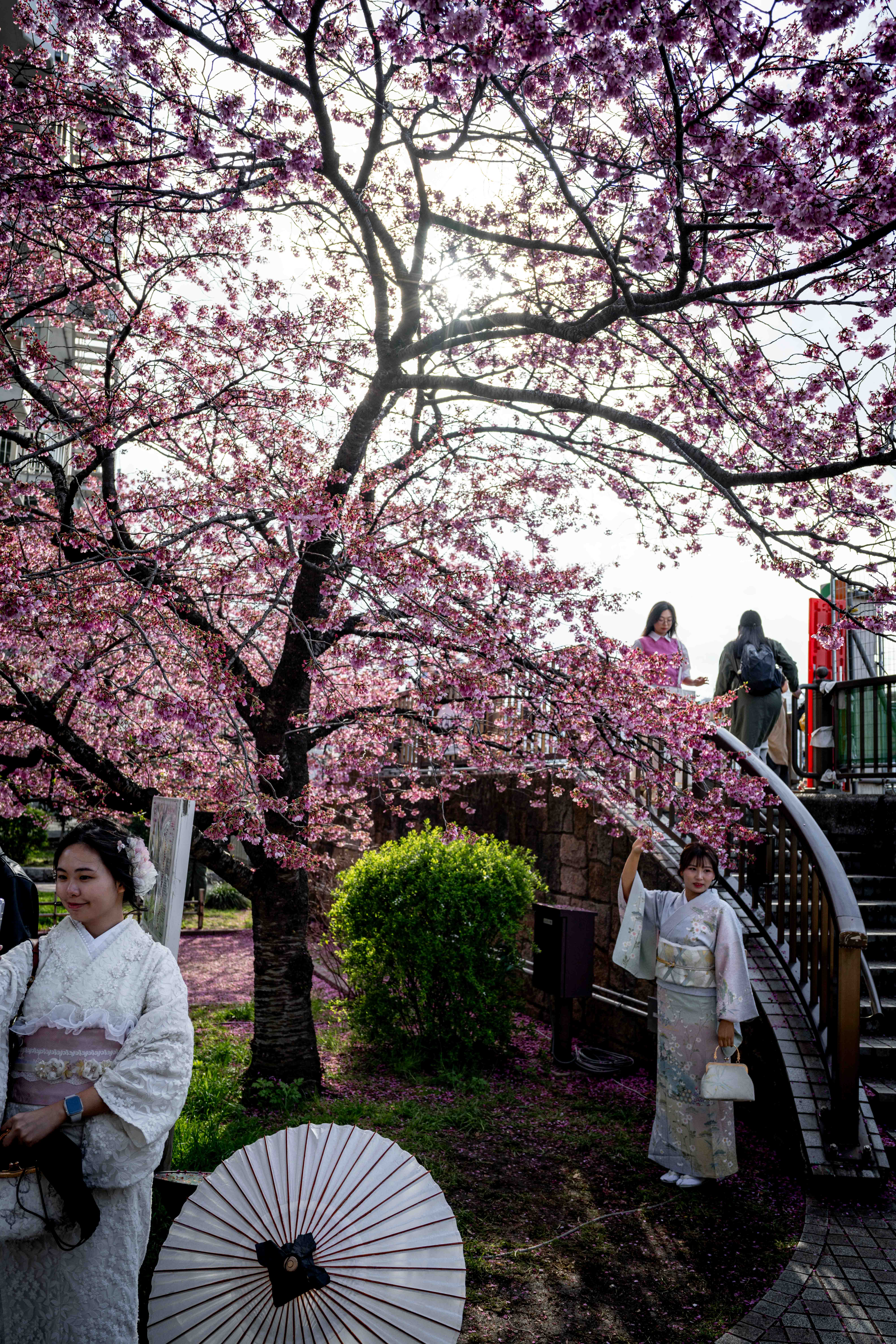 Photos from Tokyo and Kyoto, Japan, Spring 2026.