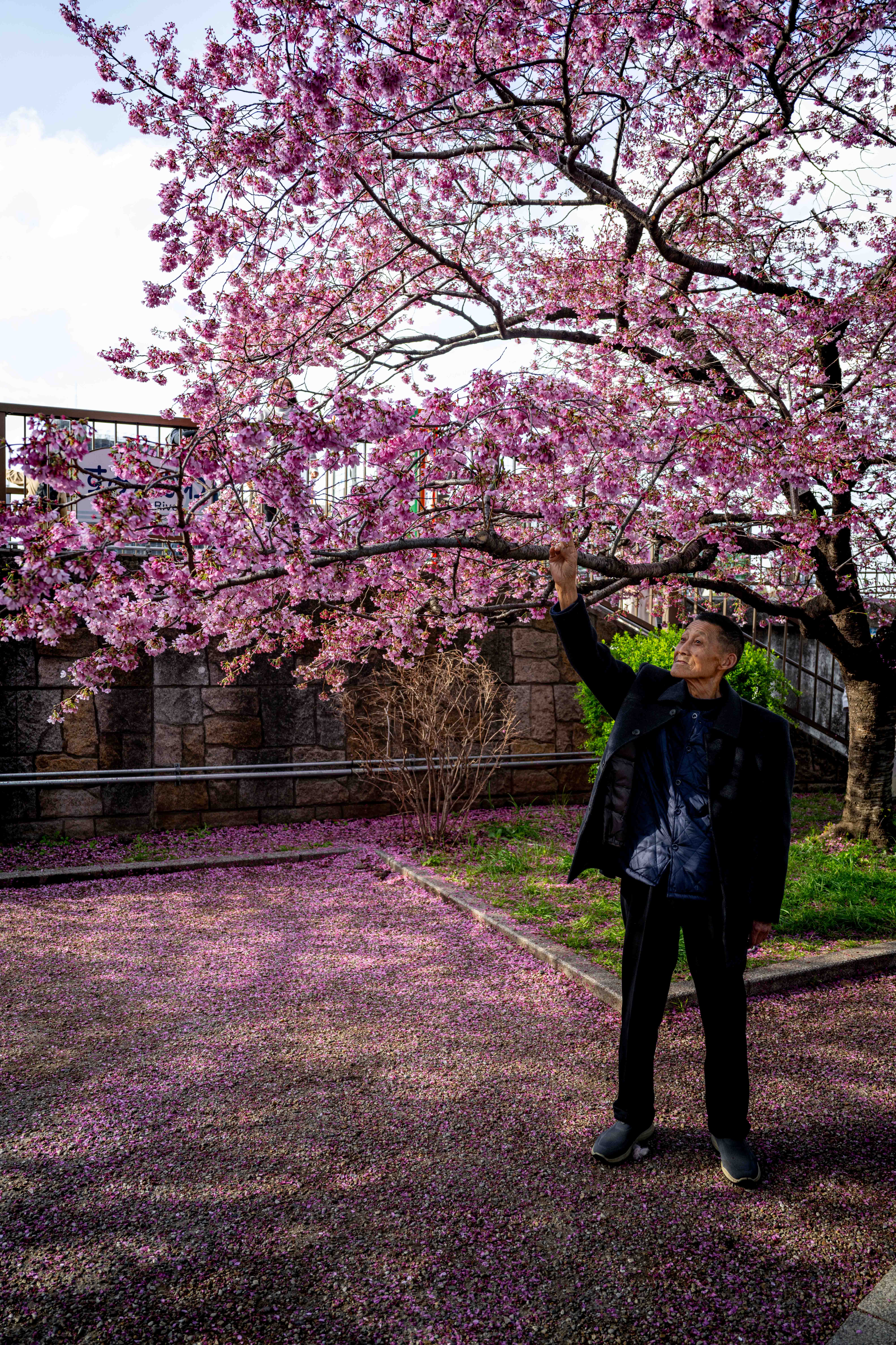 Photos from Tokyo and Kyoto, Japan, Spring 2026.