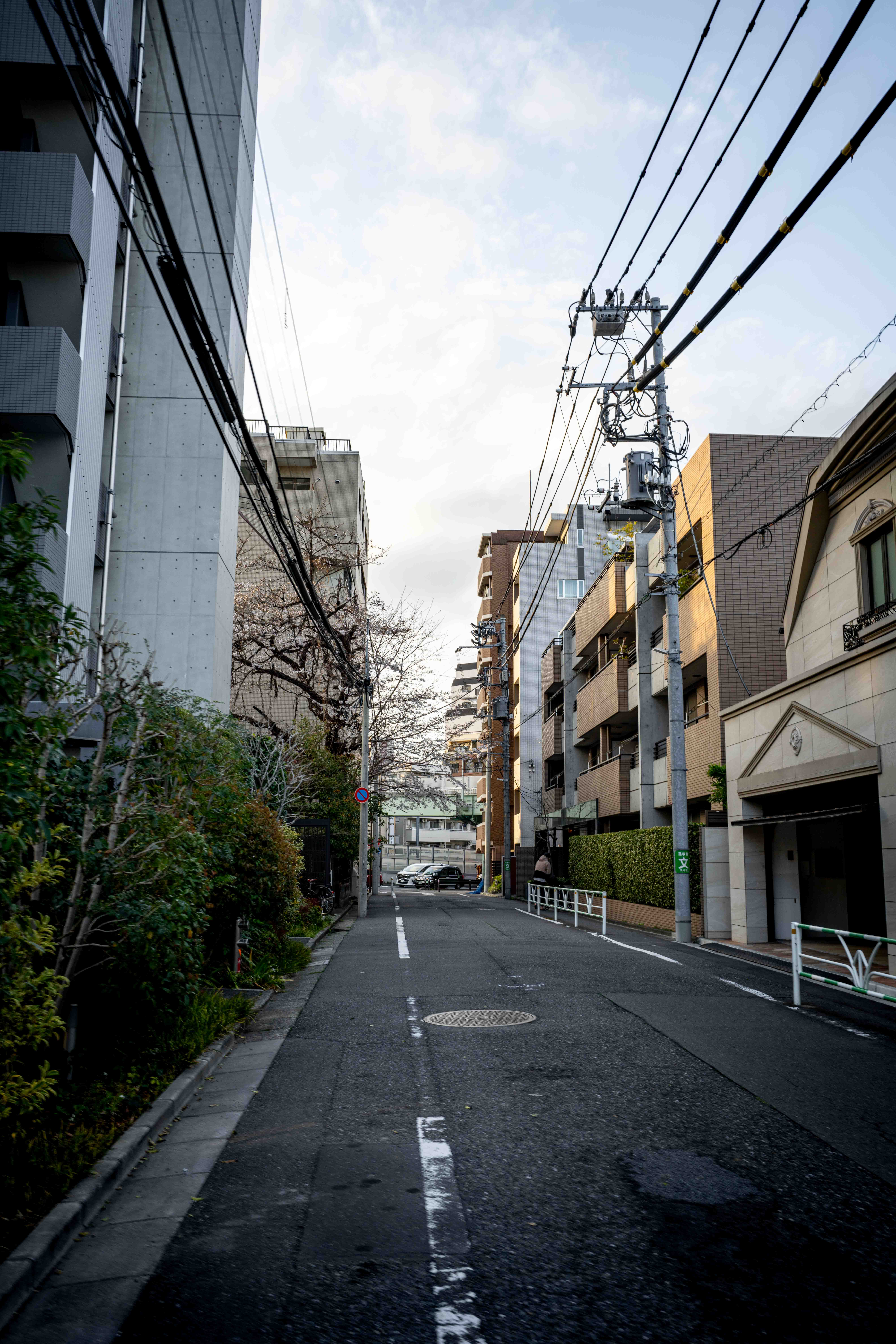 Photos from Tokyo and Kyoto, Japan, Spring 2026.