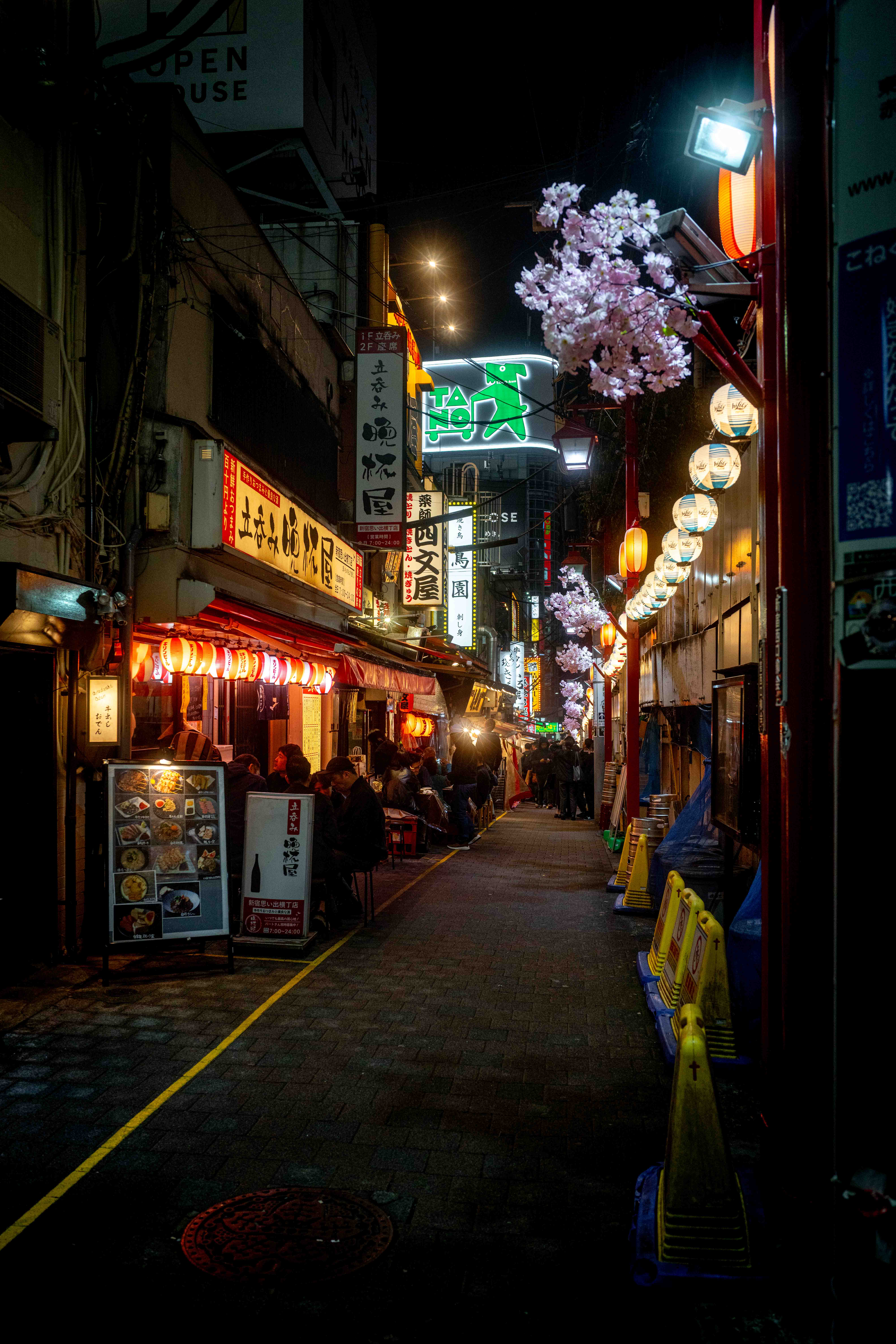 Photos from Tokyo and Kyoto, Japan, Spring 2026.