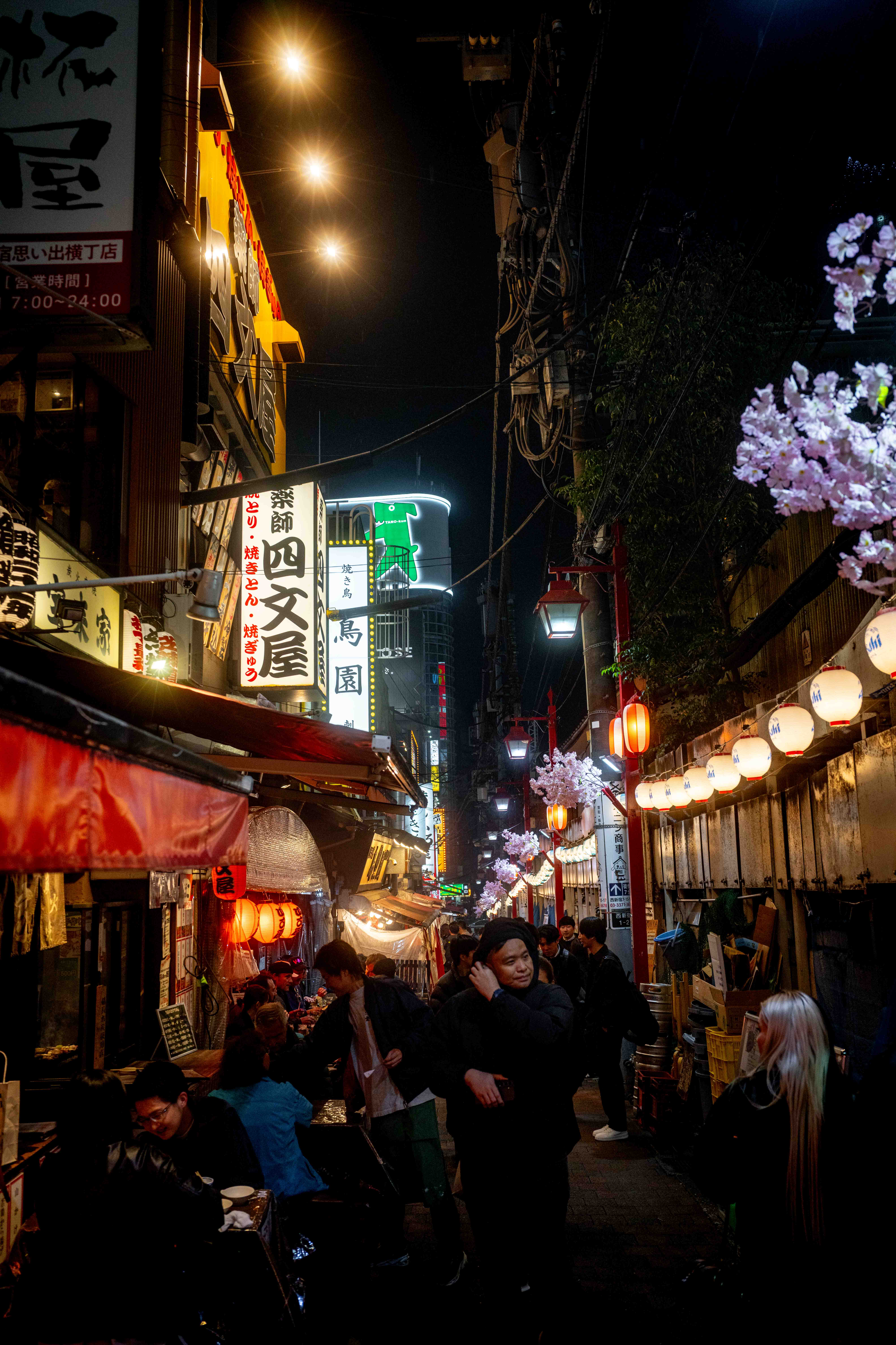 Photos from Tokyo and Kyoto, Japan, Spring 2026.