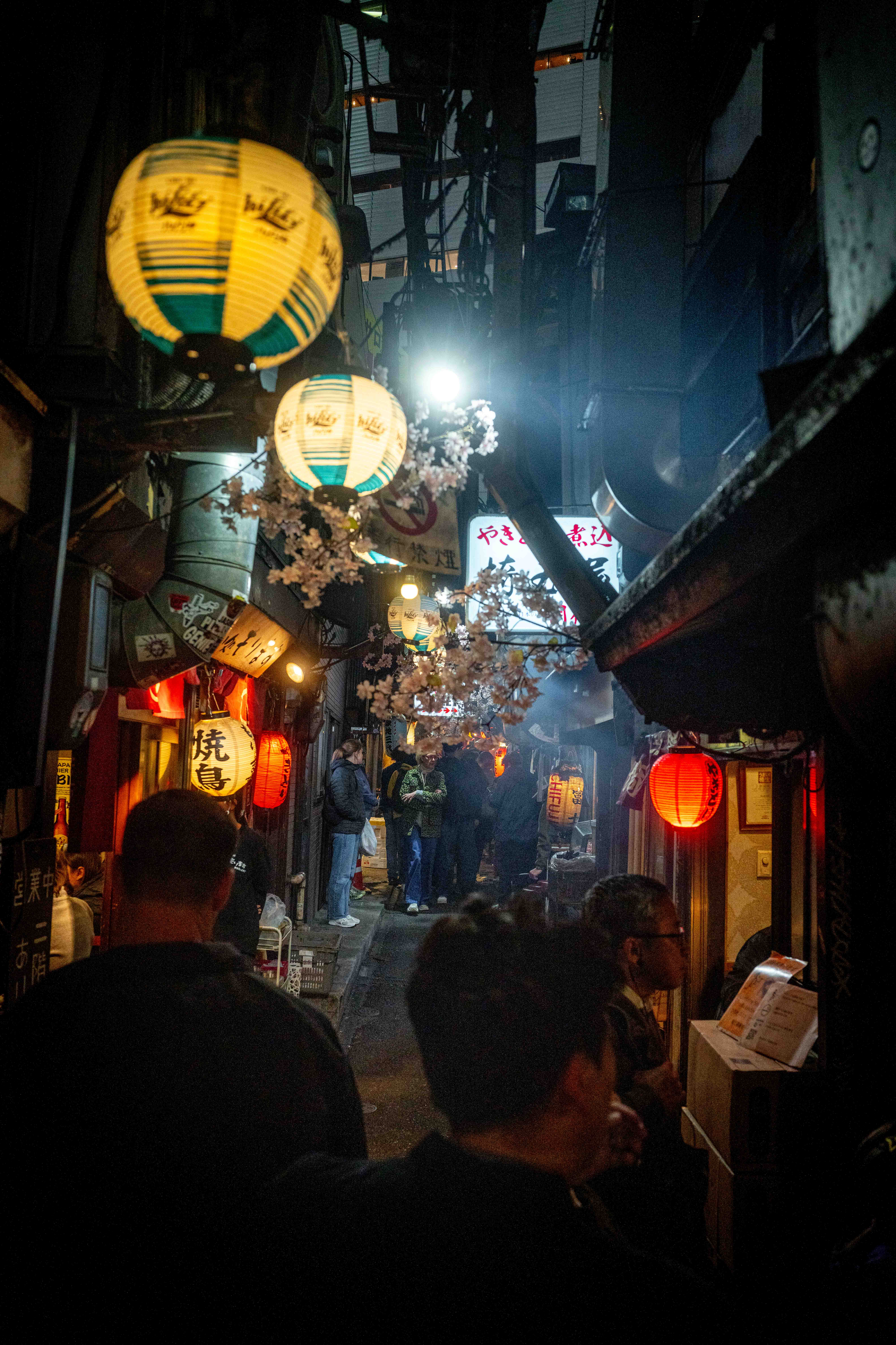 Photos from Tokyo and Kyoto, Japan, Spring 2026.