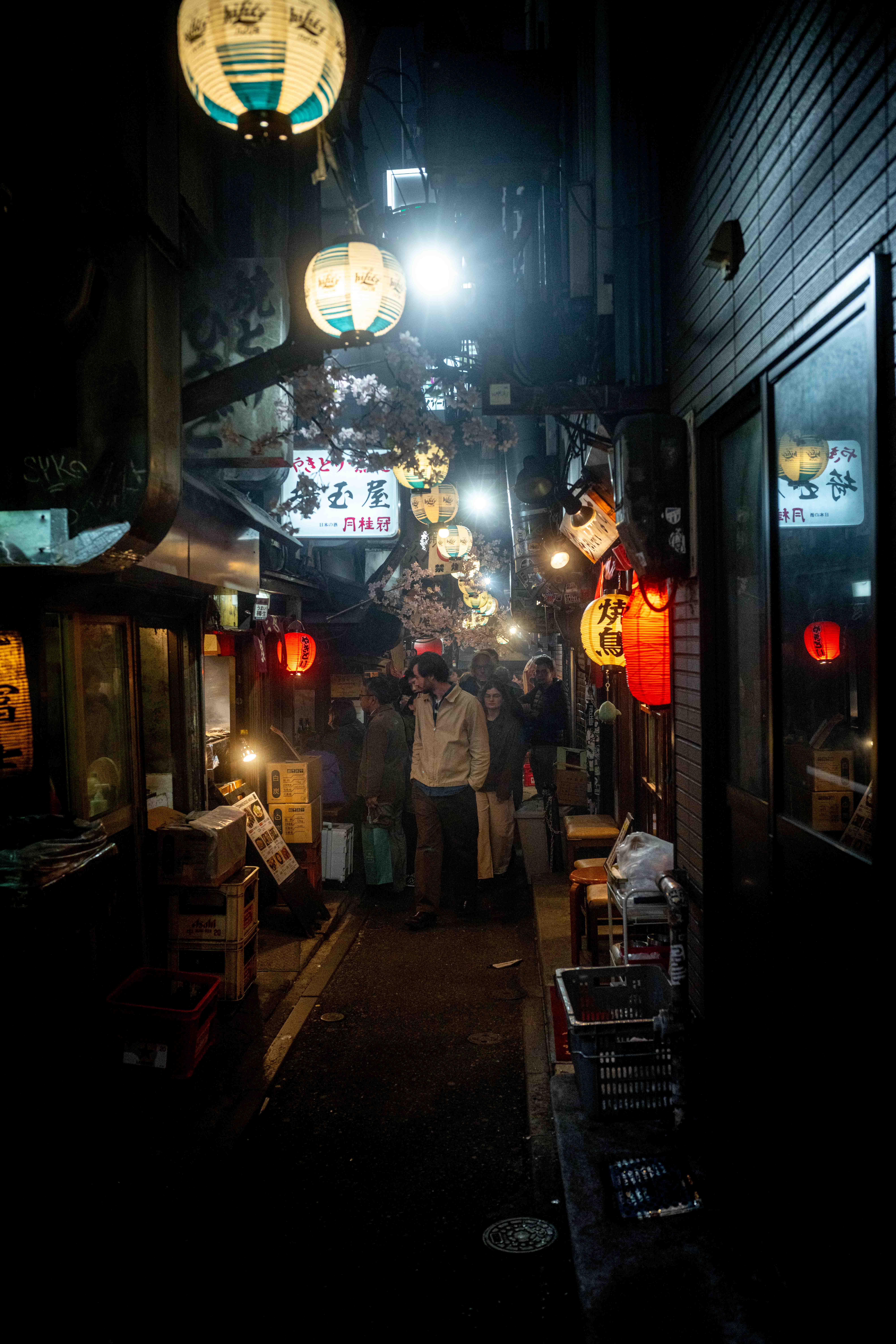 Photos from Tokyo and Kyoto, Japan, Spring 2026.