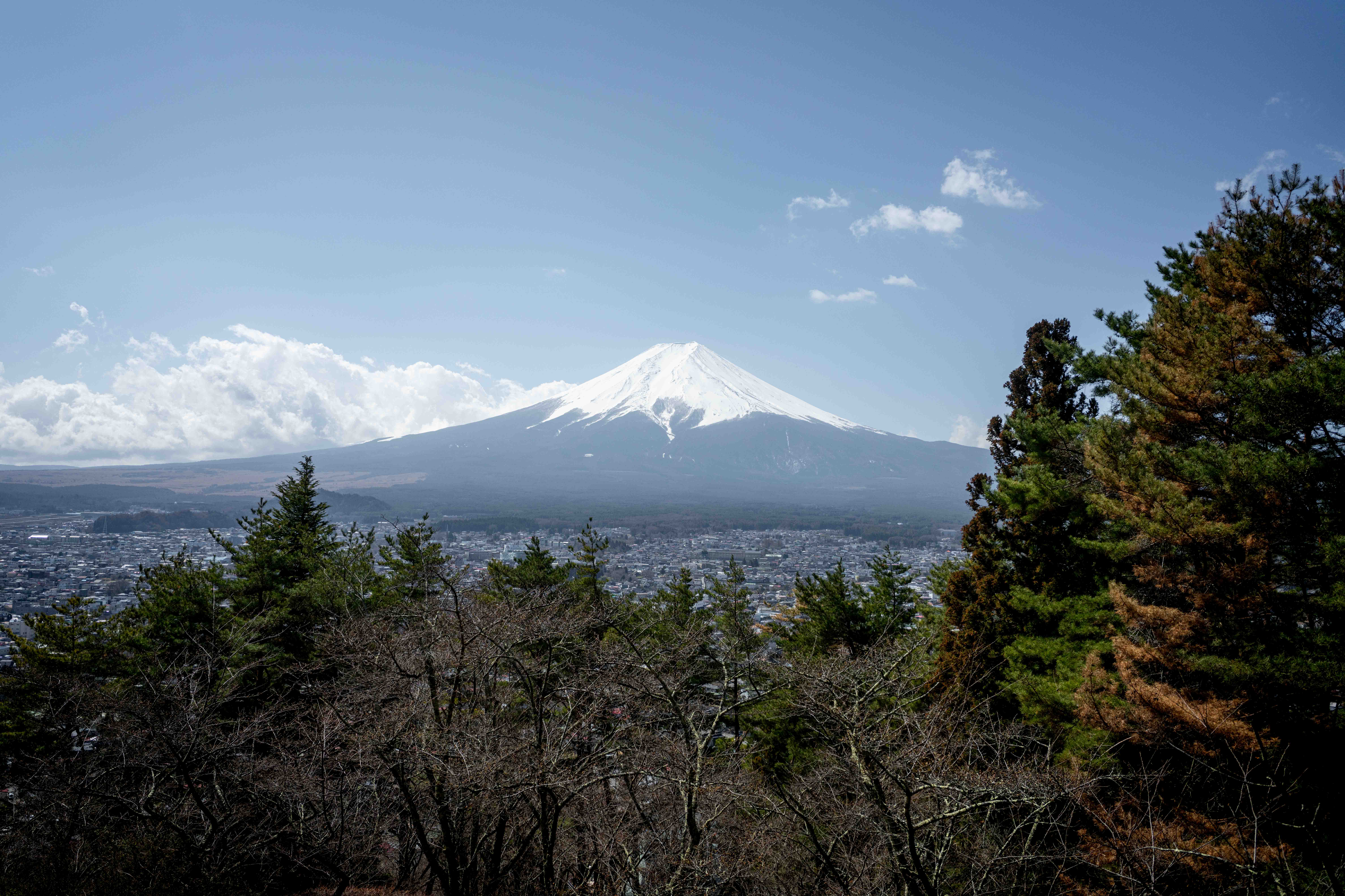 Photos from Tokyo and Kyoto, Japan, Spring 2026.