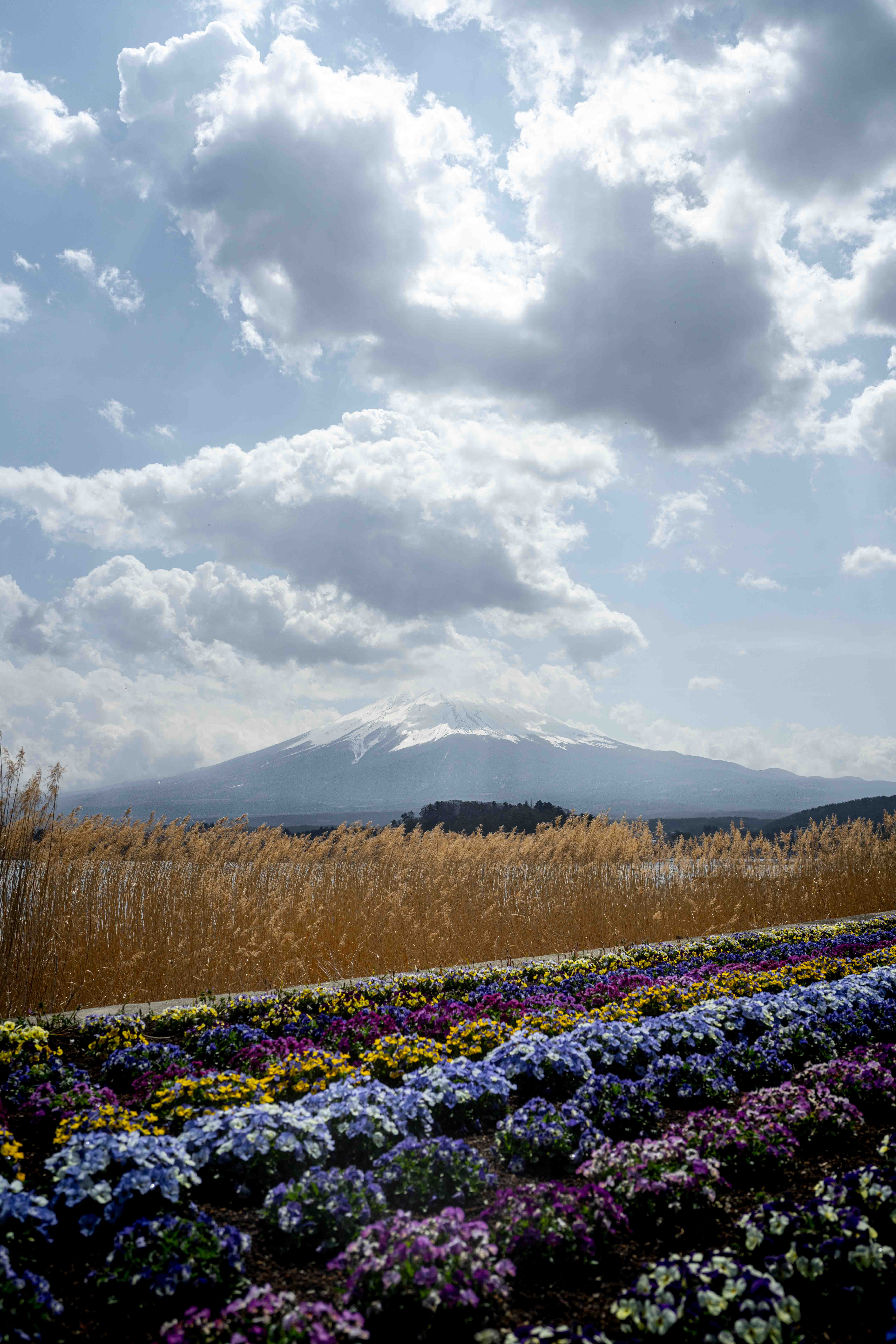 Photos from Tokyo and Kyoto, Japan, Spring 2026.