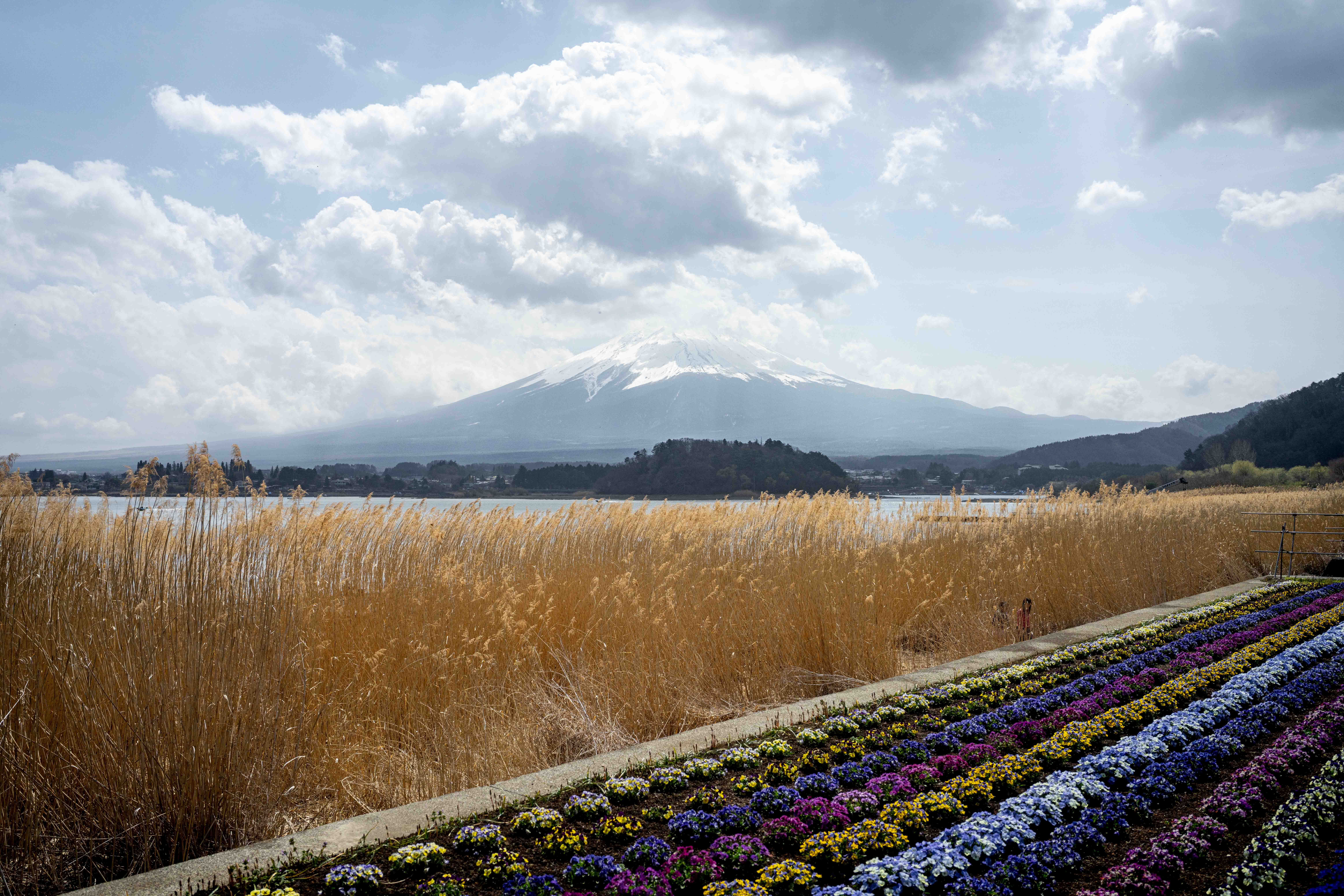Photos from Tokyo and Kyoto, Japan, Spring 2026.