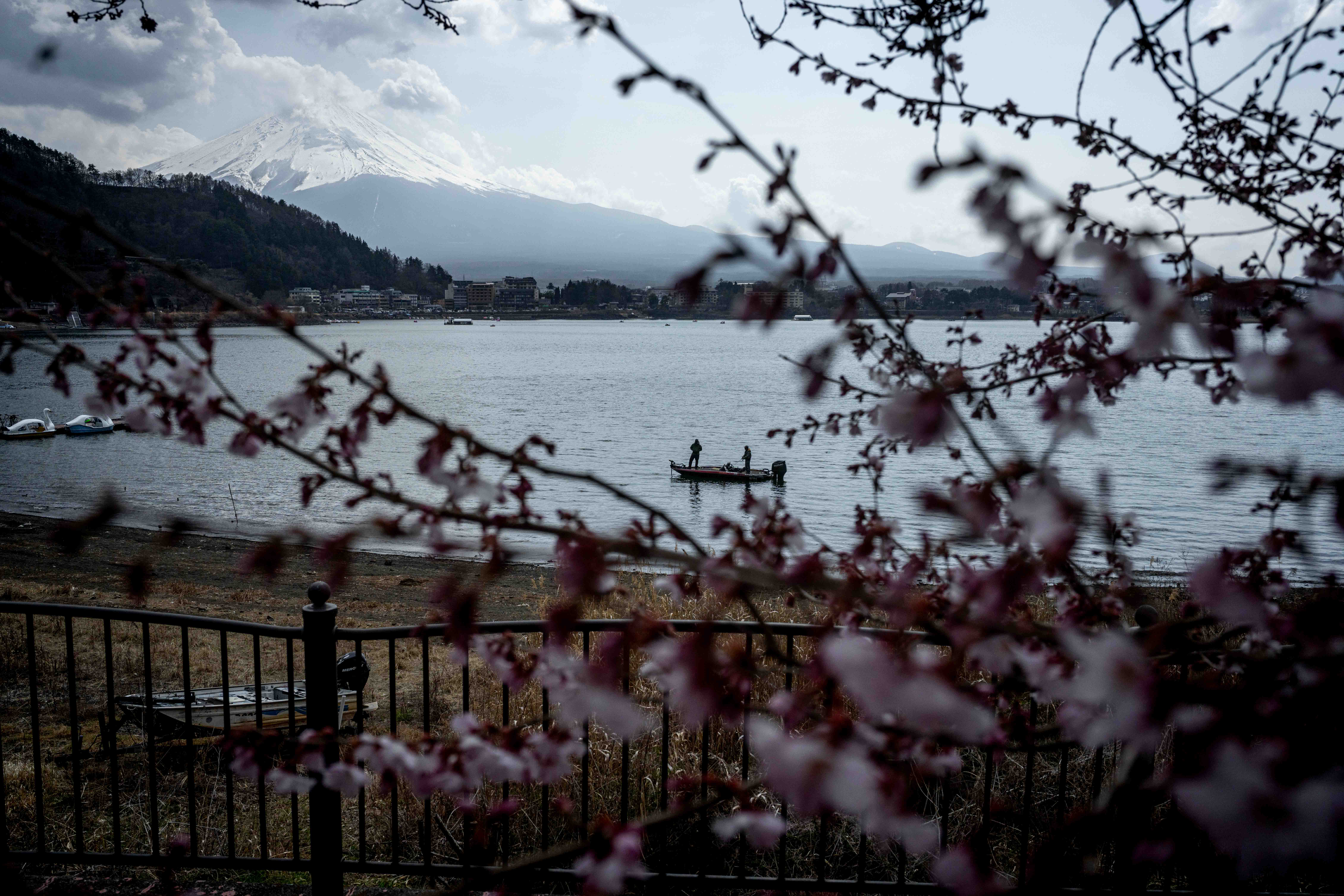 Photos from Tokyo and Kyoto, Japan, Spring 2026.