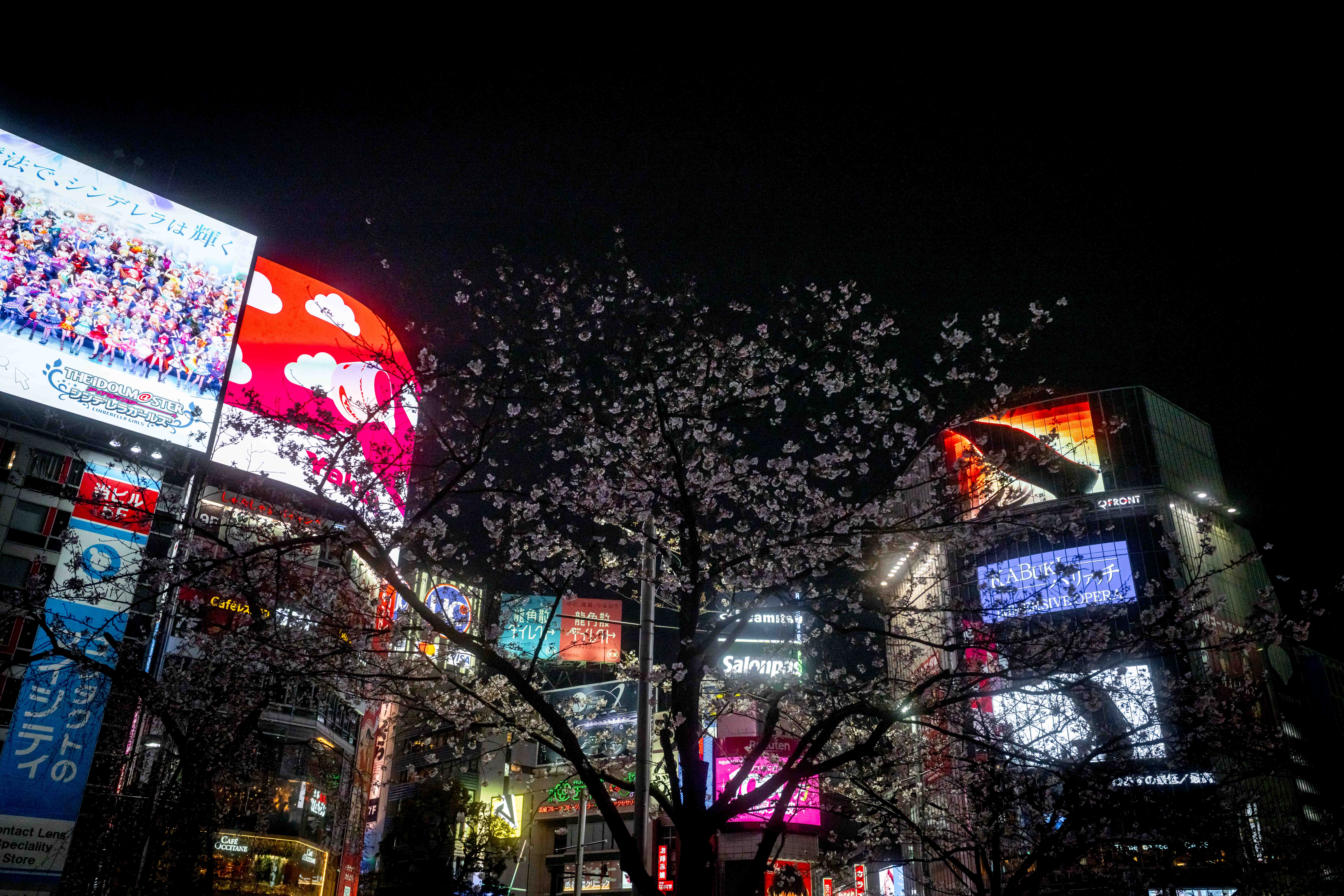 Photos from Tokyo and Kyoto, Japan, Spring 2026.