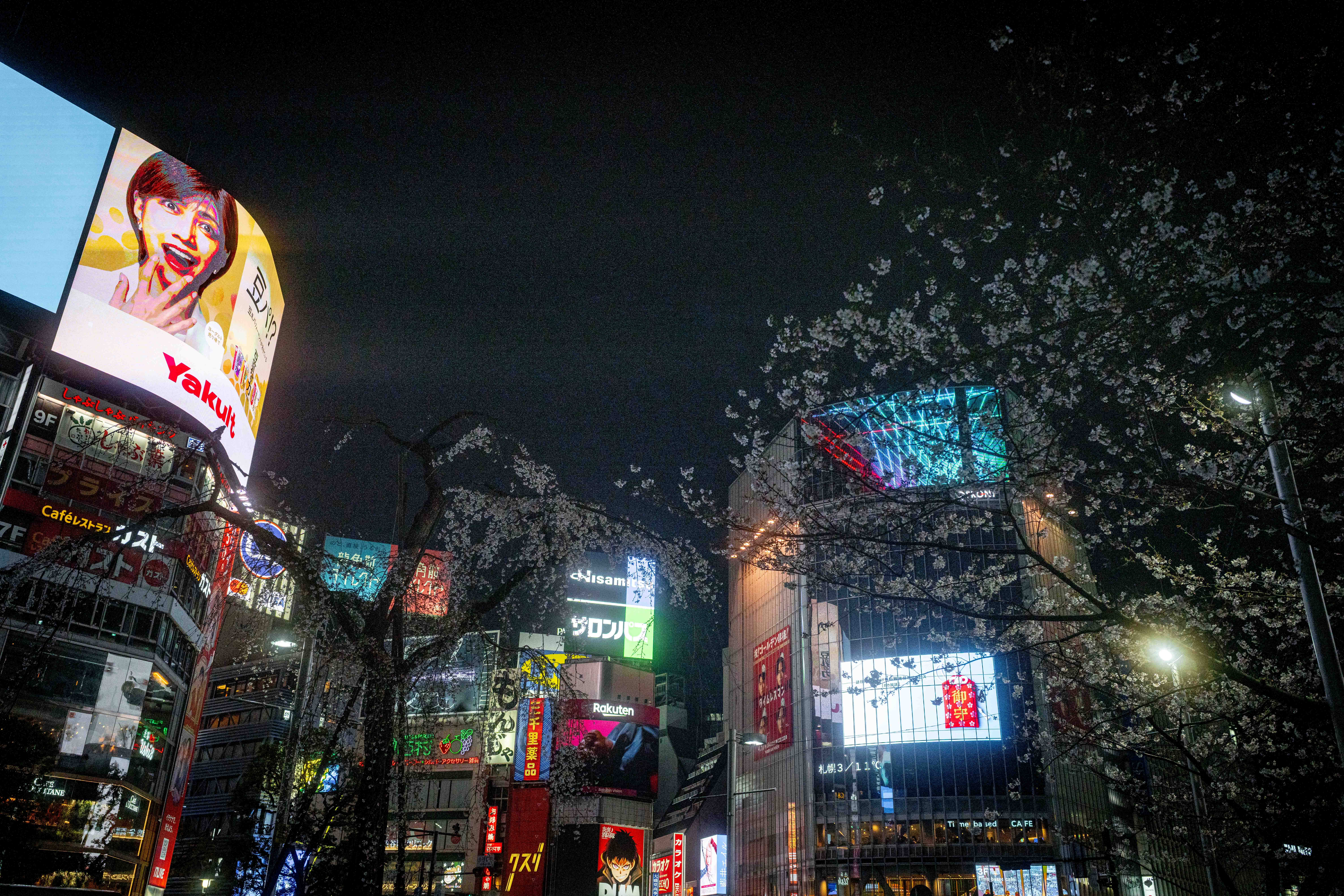 Photos from Tokyo and Kyoto, Japan, Spring 2026.