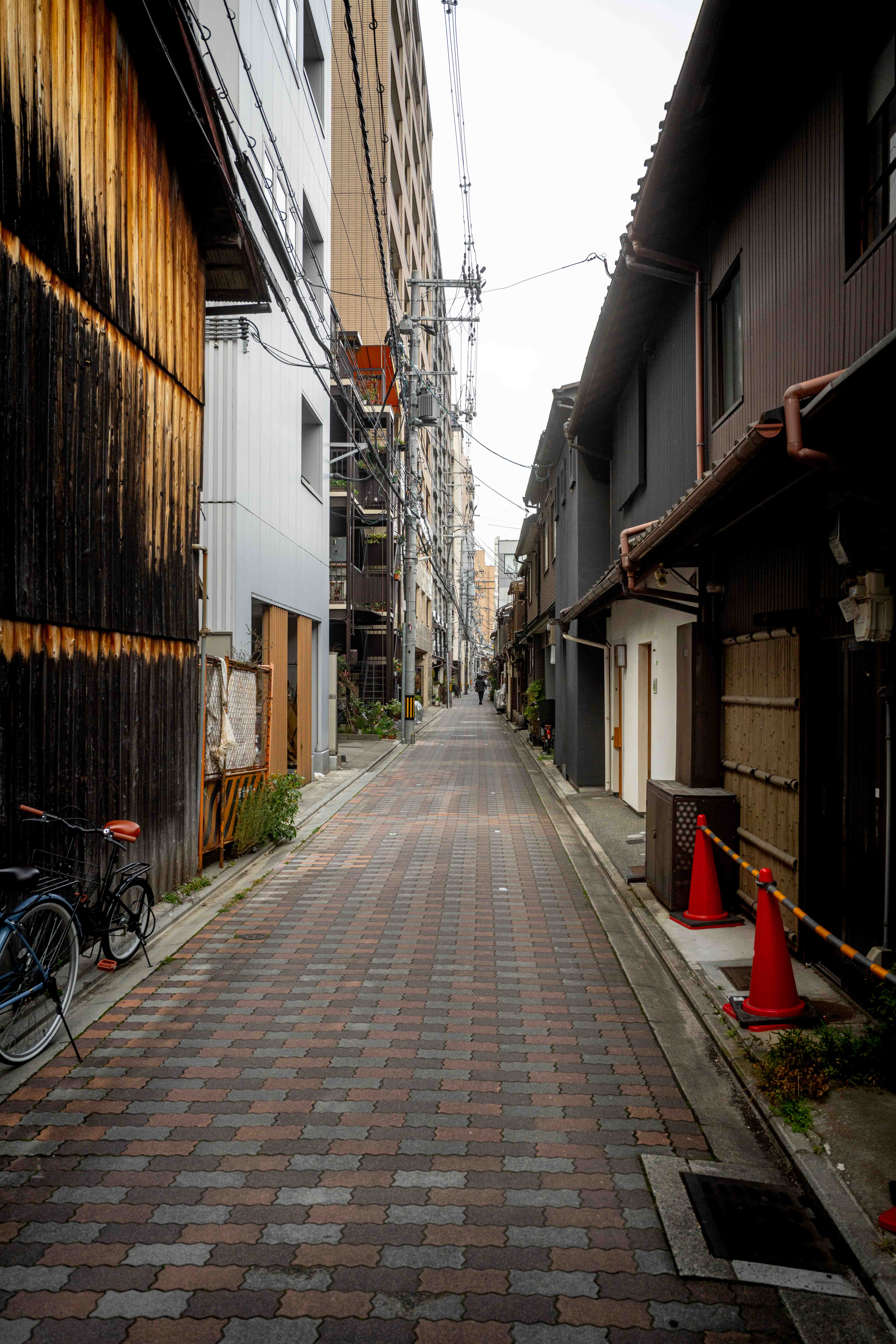 Photos from Tokyo and Kyoto, Japan, Spring 2026.