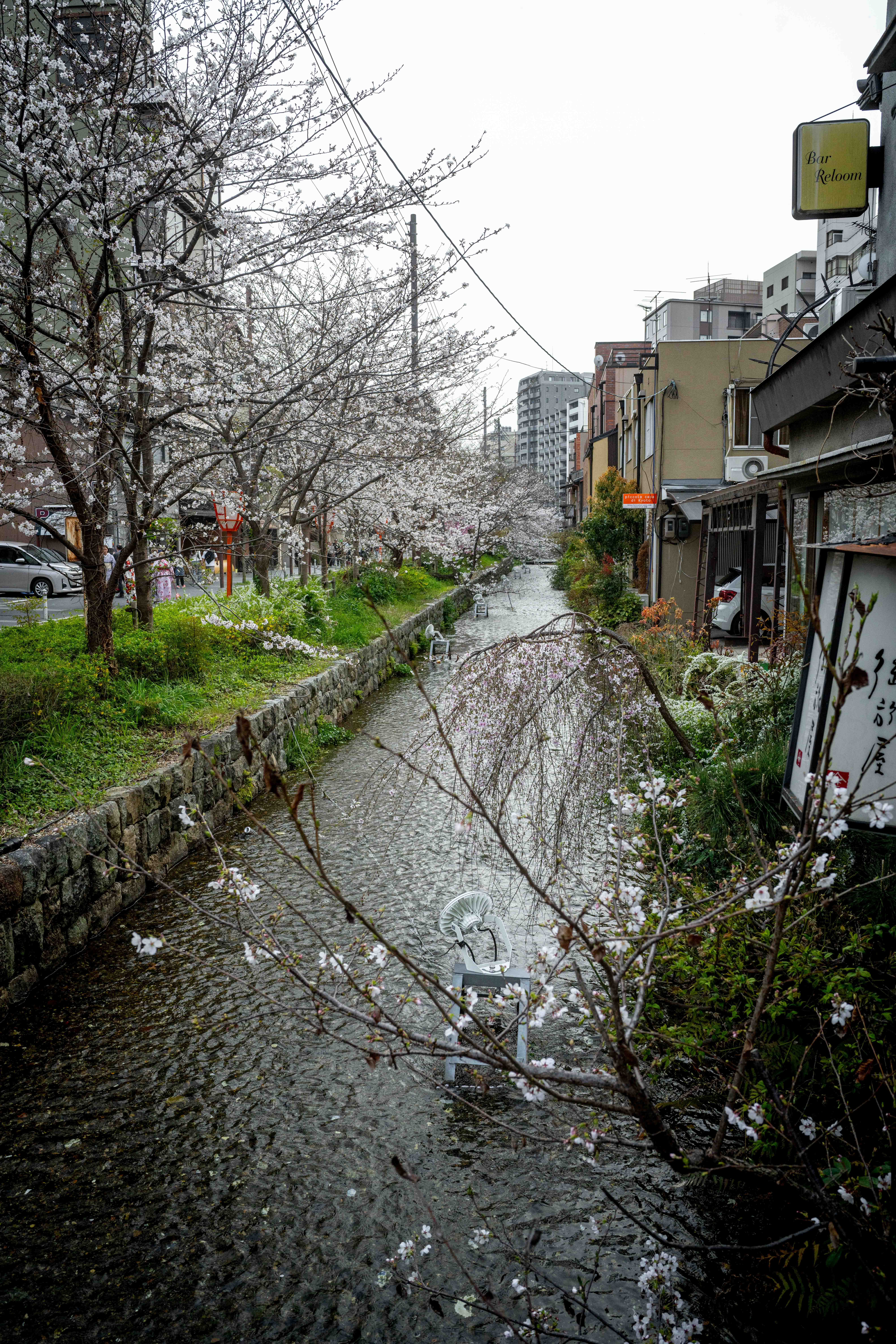 Photos from Tokyo and Kyoto, Japan, Spring 2026.