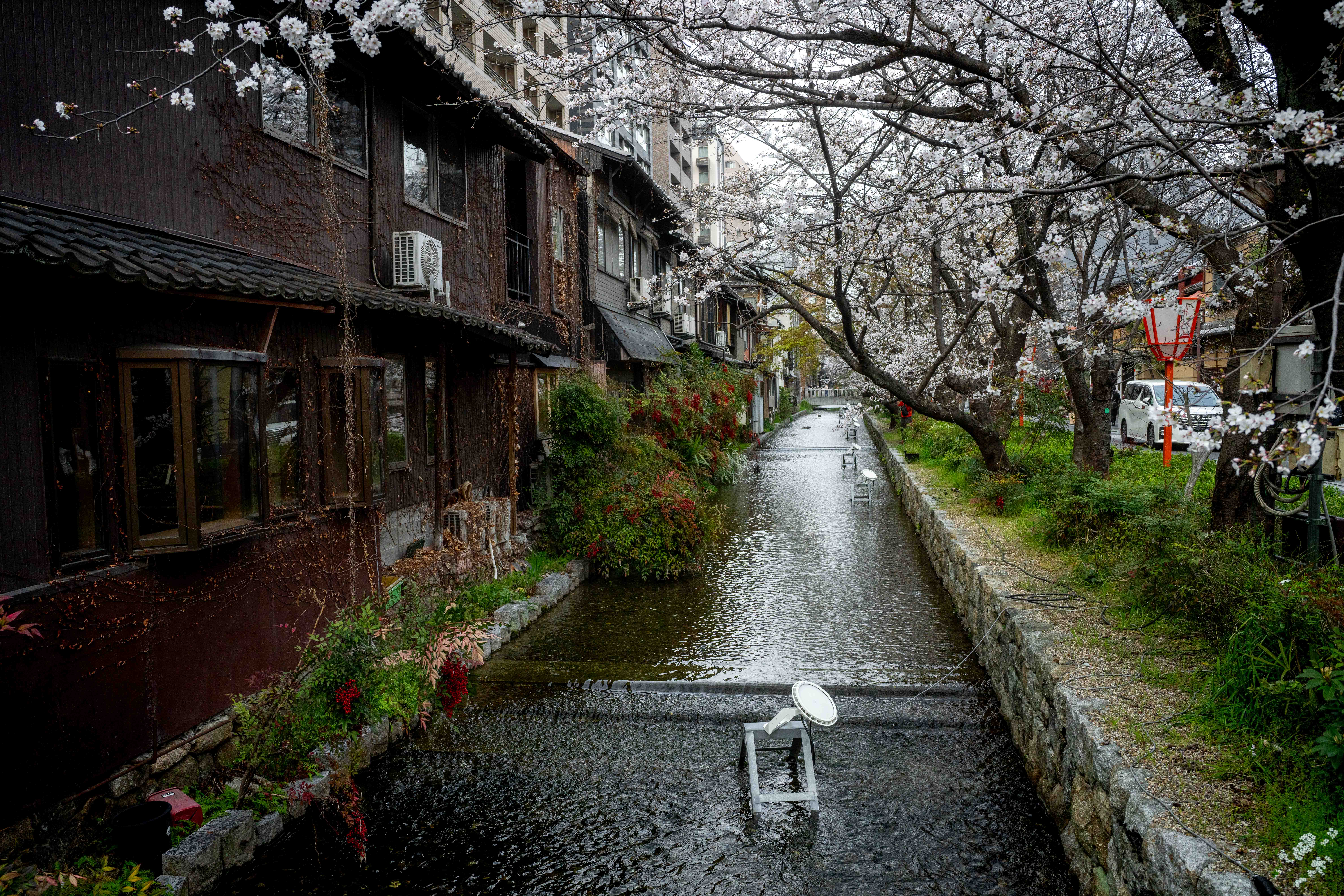 Photos from Tokyo and Kyoto, Japan, Spring 2026.
