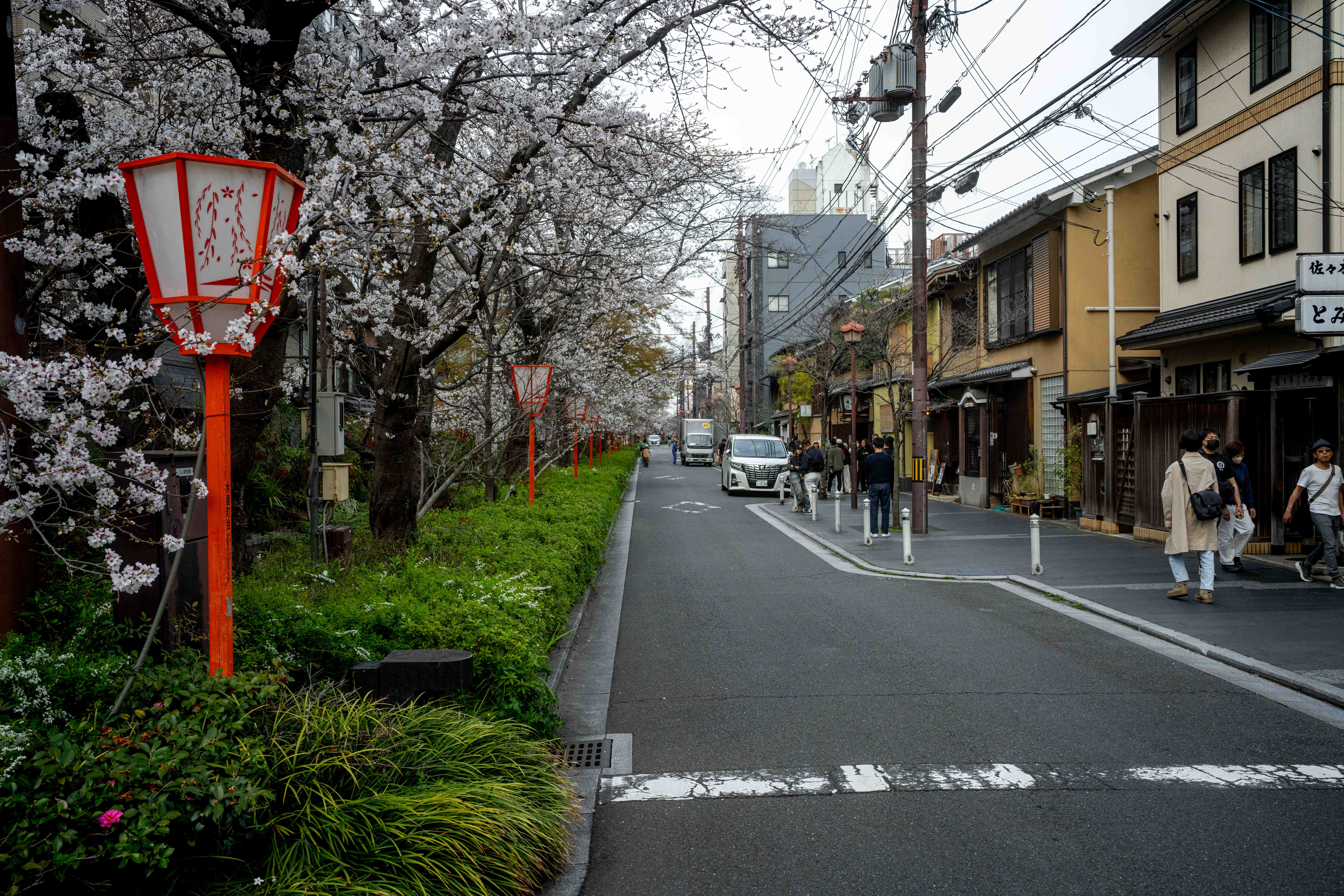 Photos from Tokyo and Kyoto, Japan, Spring 2026.