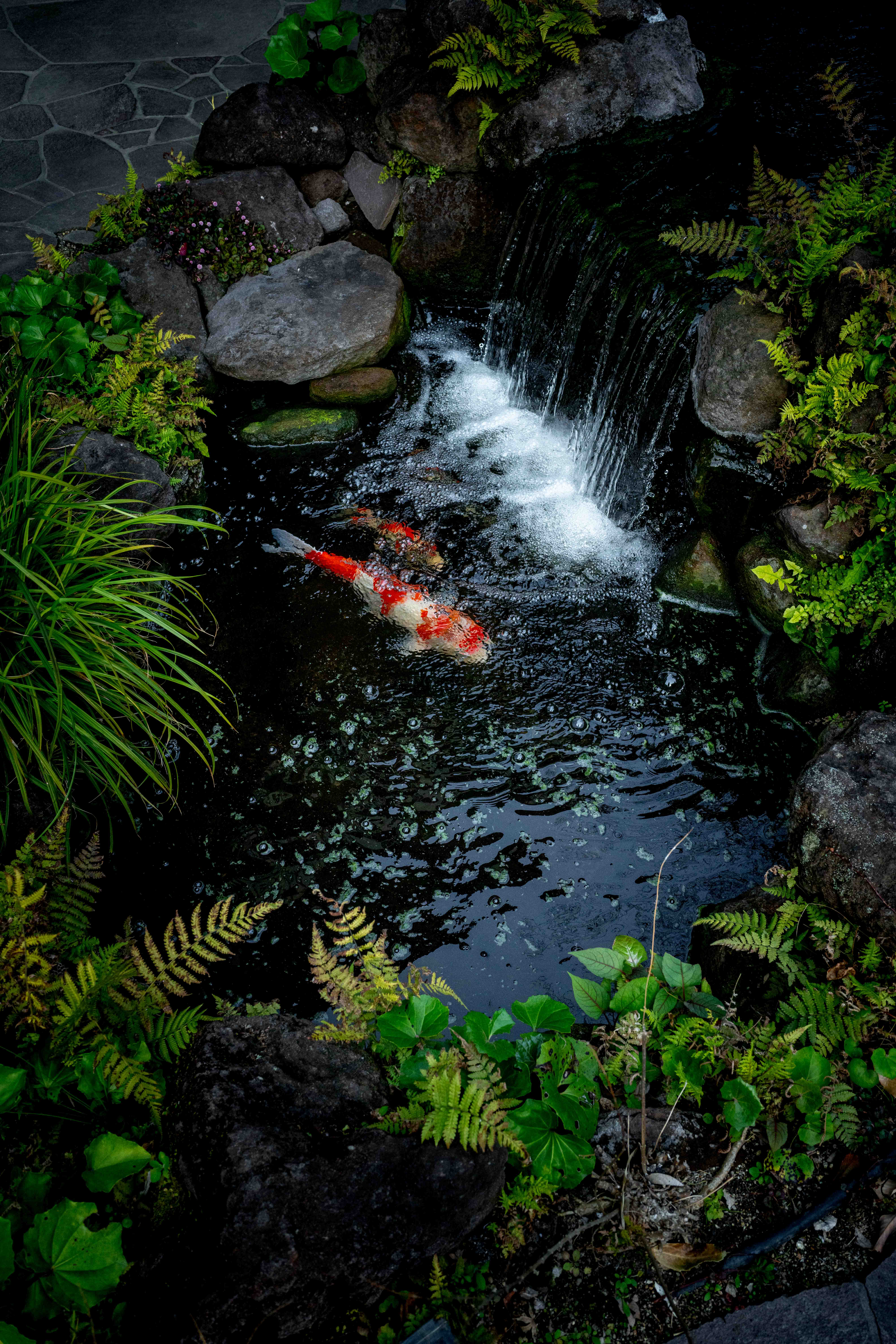 Photos from Tokyo and Kyoto, Japan, Spring 2026.