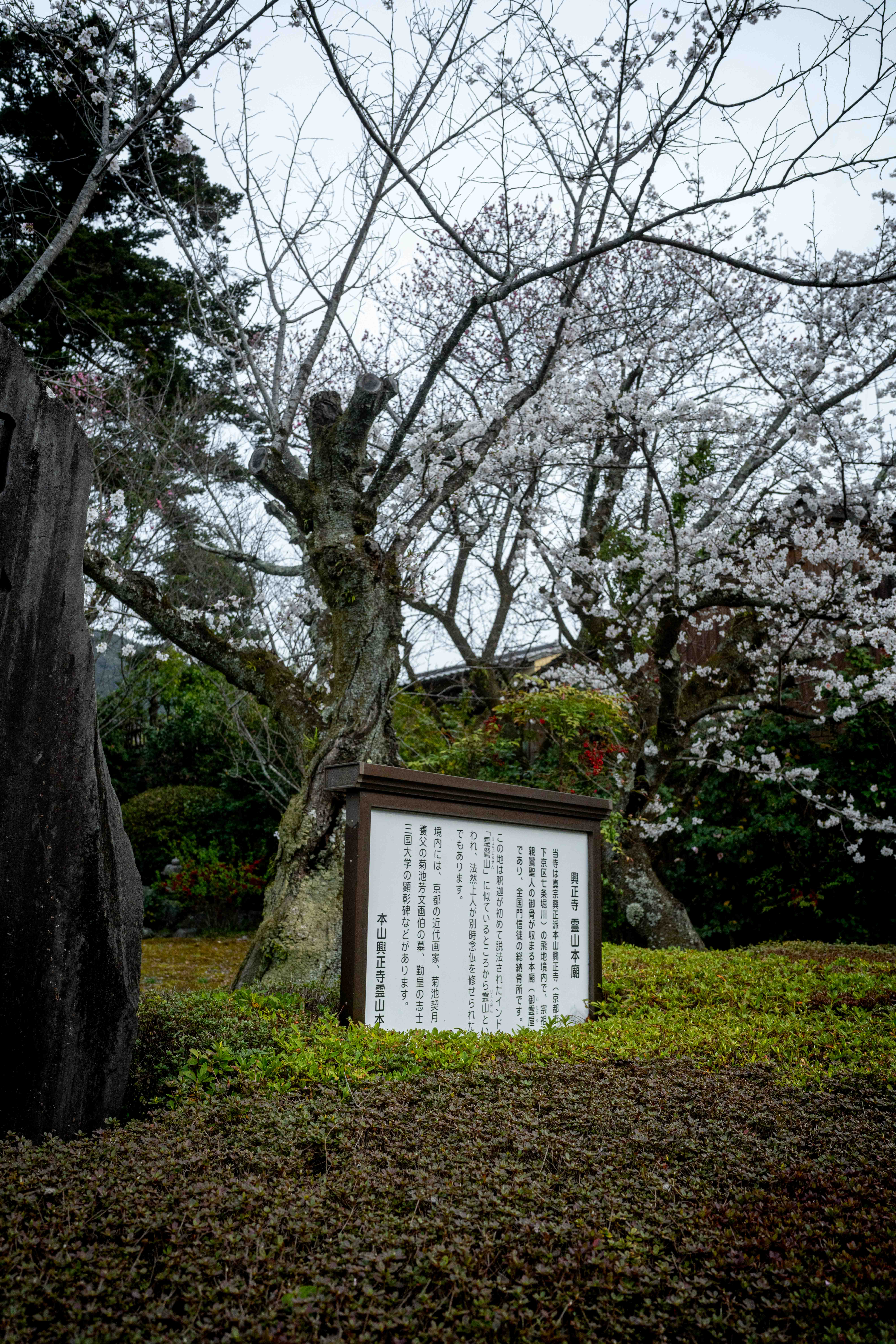 Photos from Tokyo and Kyoto, Japan, Spring 2026.