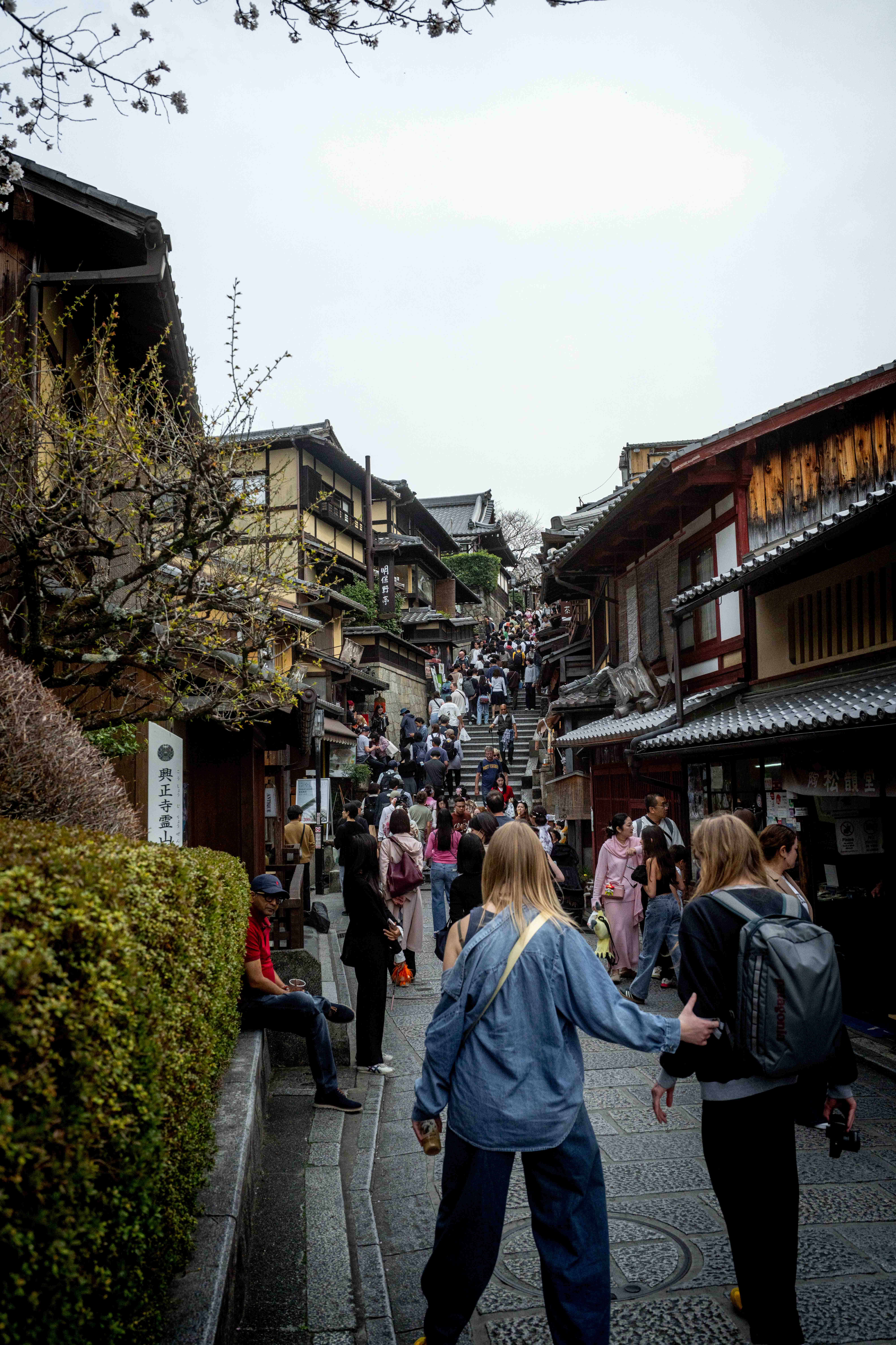 Photos from Tokyo and Kyoto, Japan, Spring 2026.