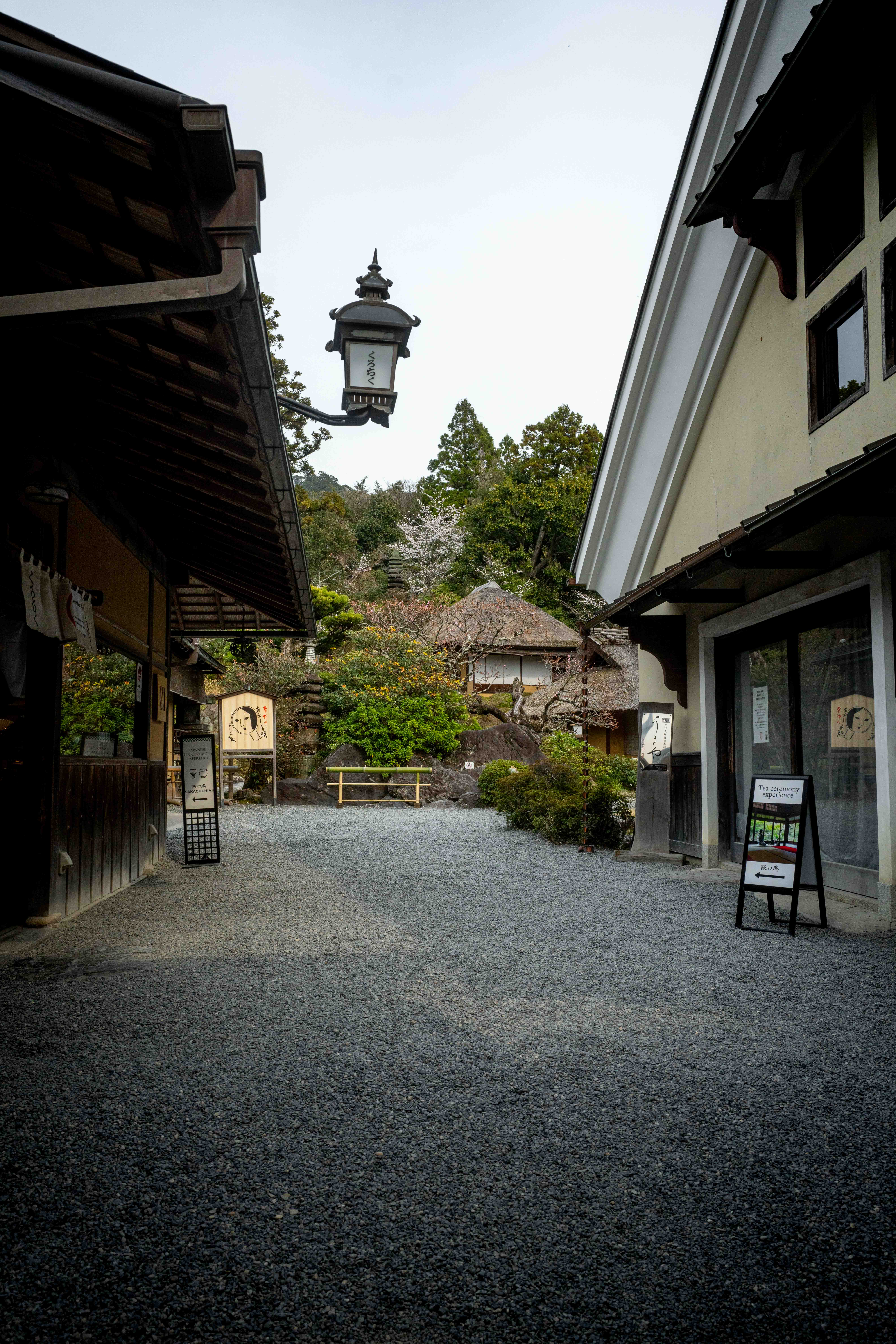 Photos from Tokyo and Kyoto, Japan, Spring 2026.