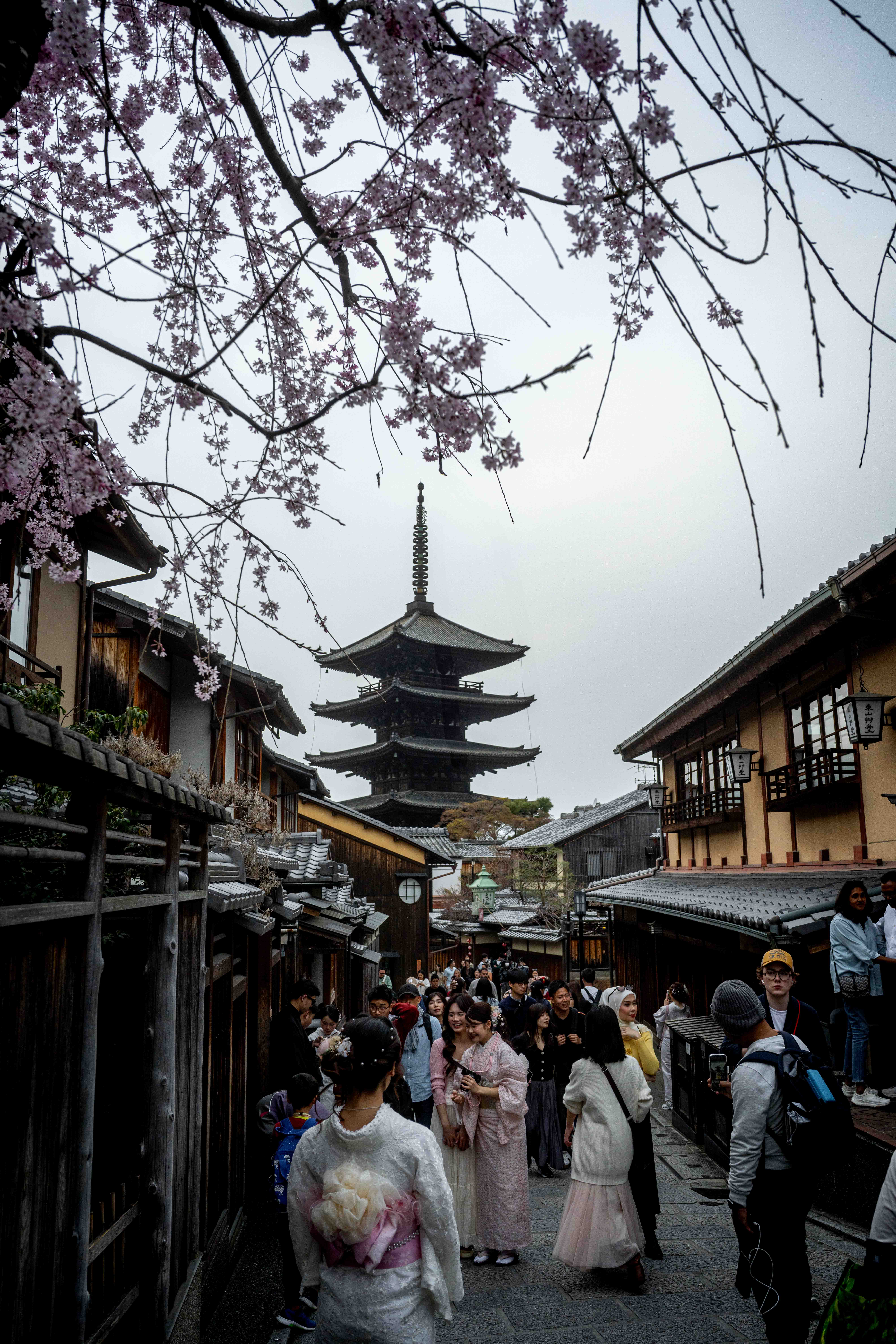 Photos from Tokyo and Kyoto, Japan, Spring 2026.