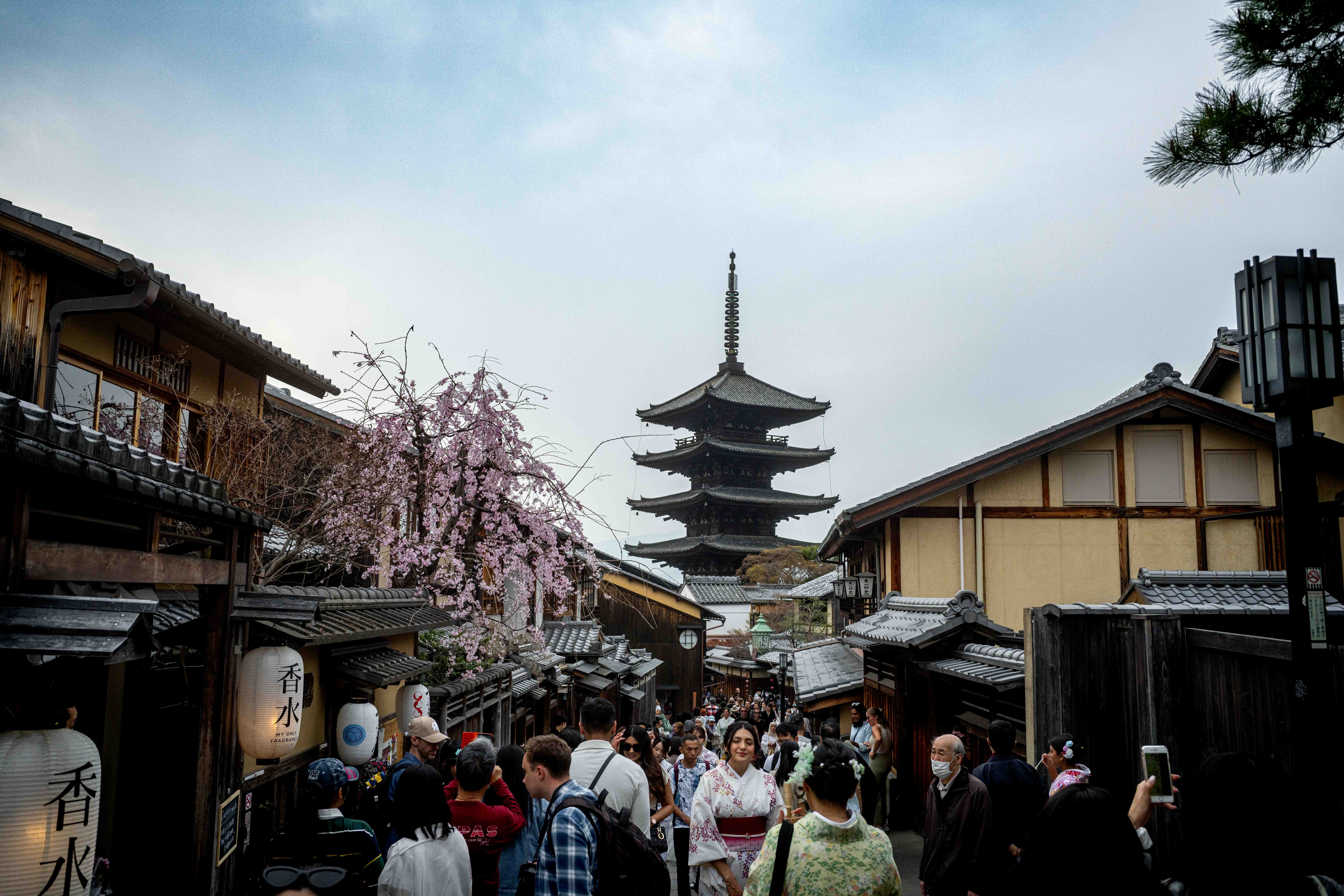 Photos from Tokyo and Kyoto, Japan, Spring 2026.