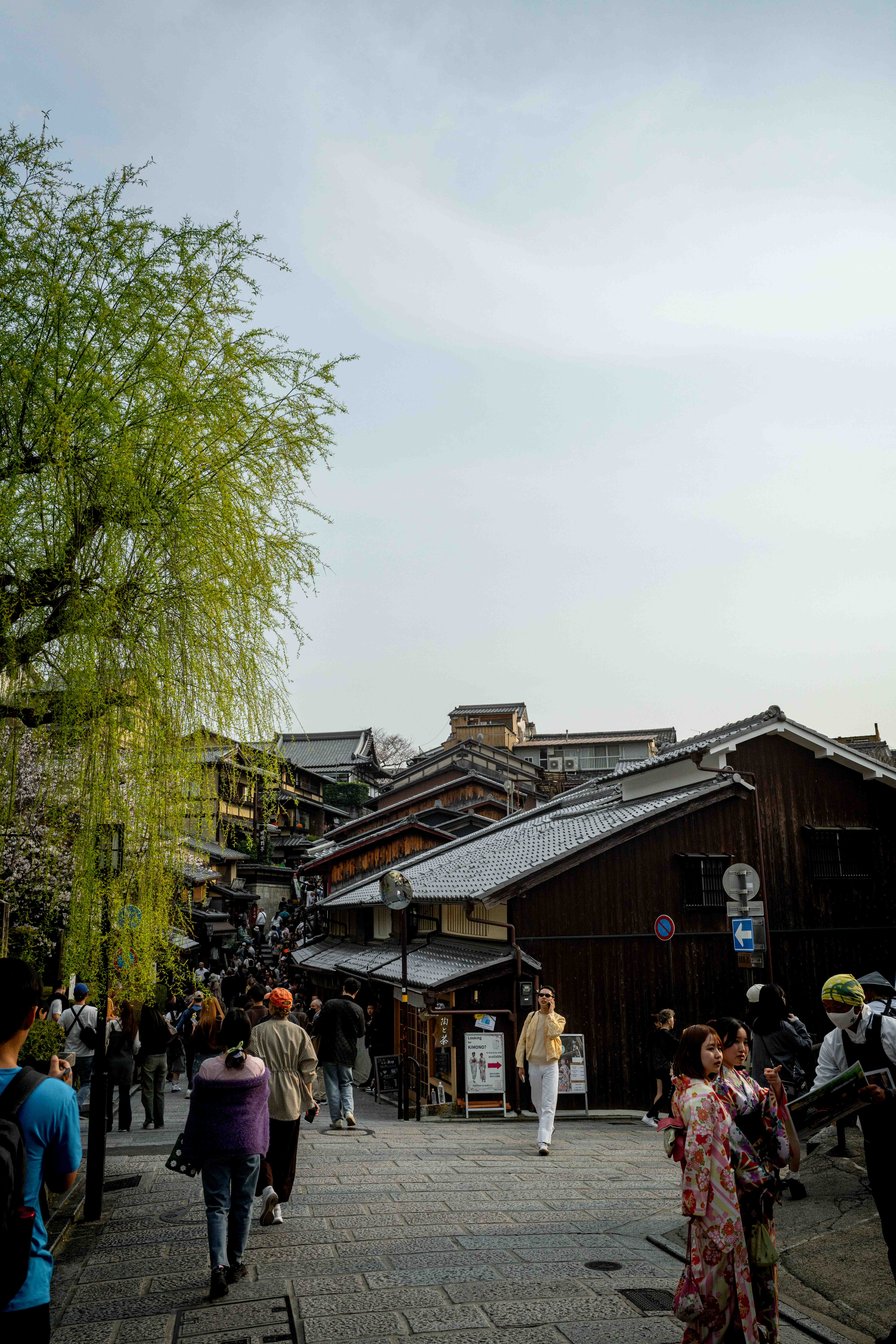 Photos from Tokyo and Kyoto, Japan, Spring 2026.