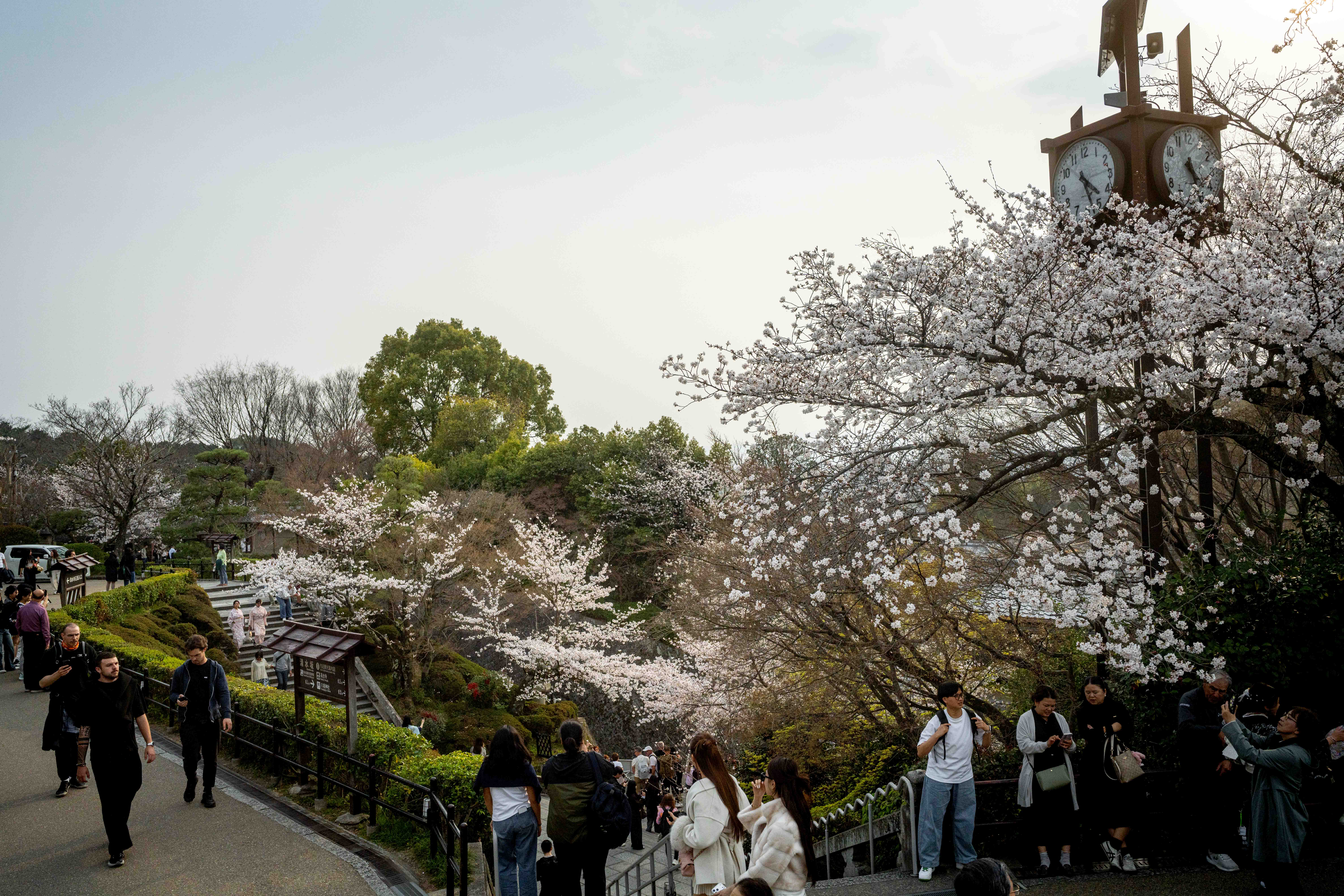 Photos from Tokyo and Kyoto, Japan, Spring 2026.