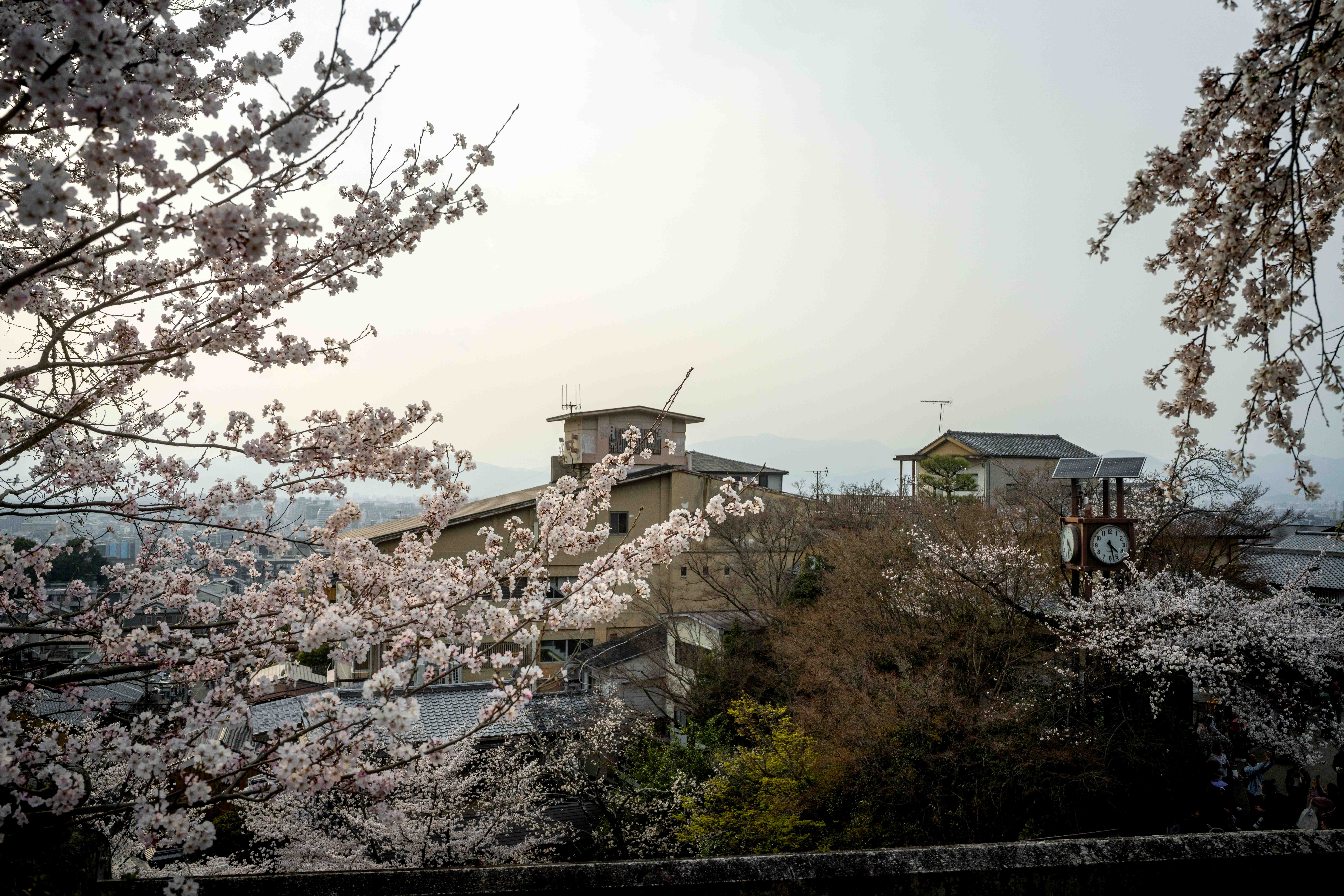 Photos from Tokyo and Kyoto, Japan, Spring 2026.