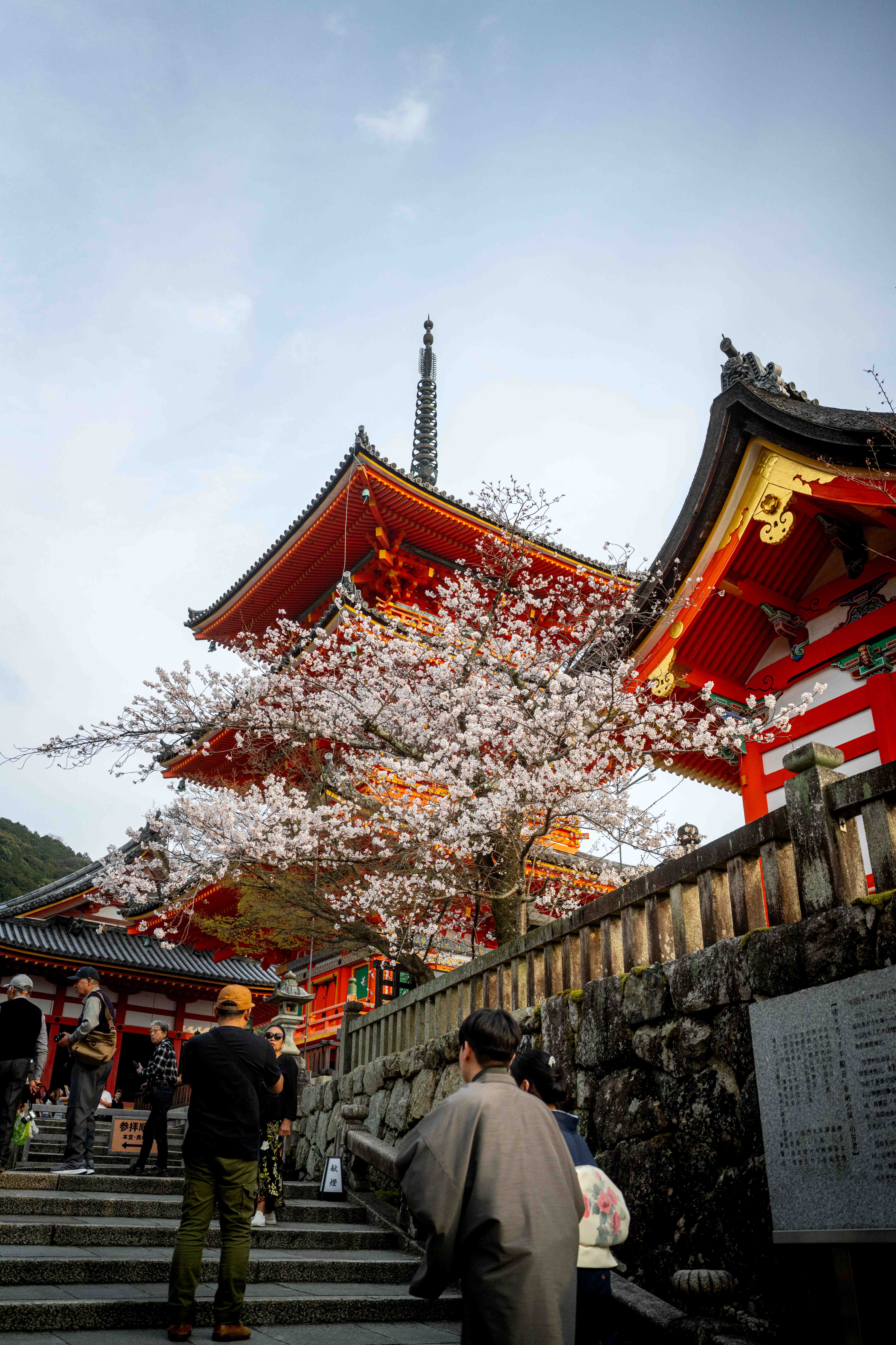 Photos from Tokyo and Kyoto, Japan, Spring 2026.