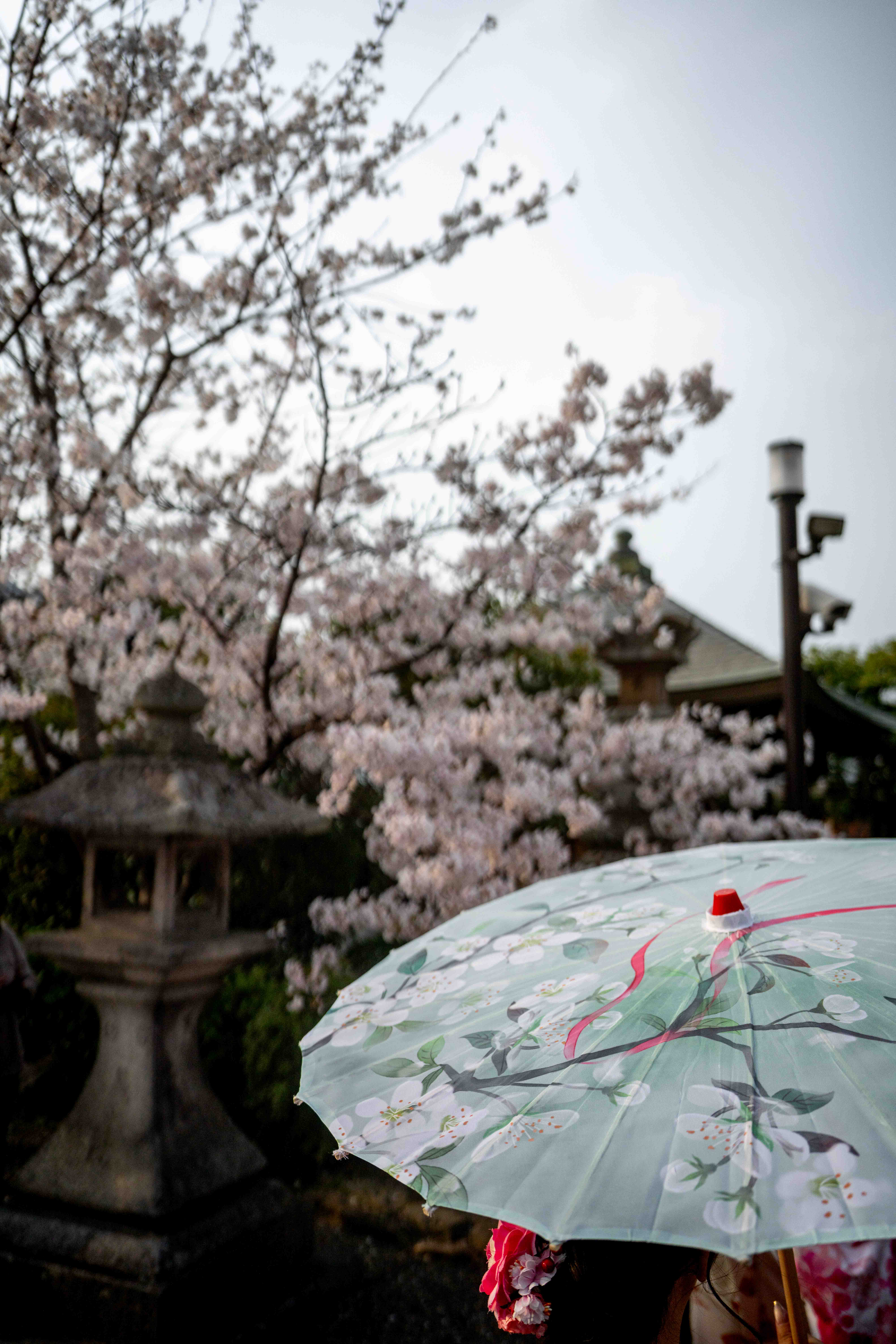 Photos from Tokyo and Kyoto, Japan, Spring 2026.